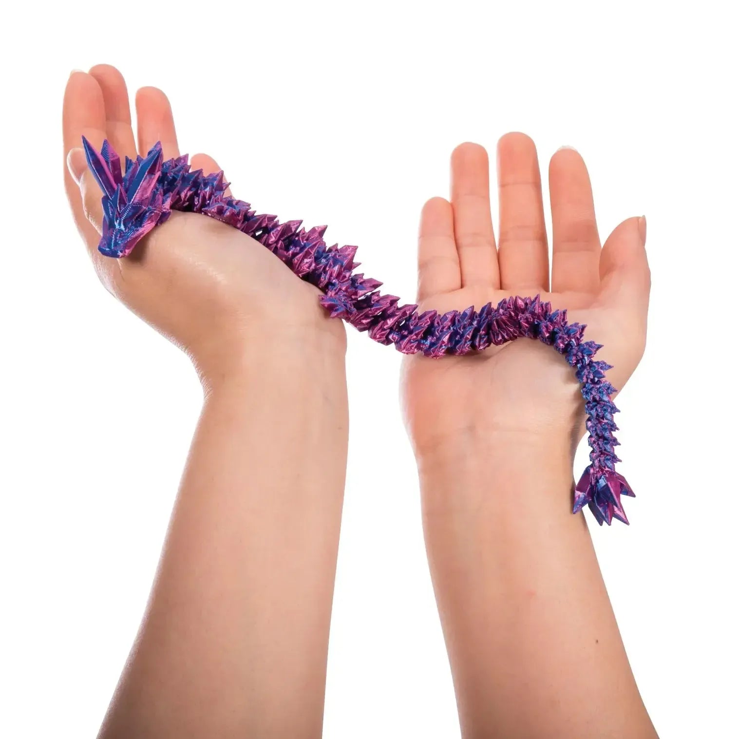 3D Sensory Dragon-Toys-Discovery Zone-The Bay Room