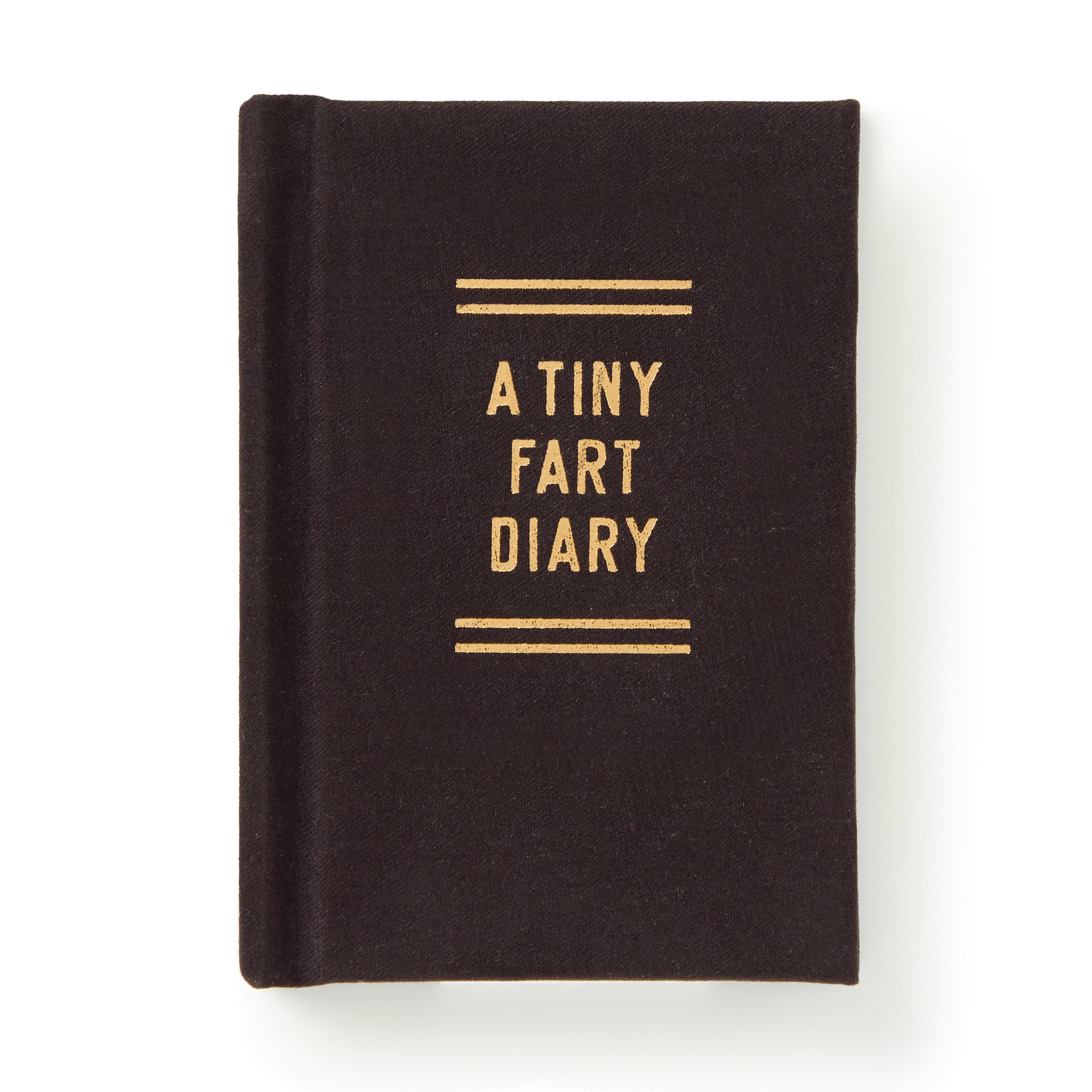A Tiny Fart Diary-Fun & Games-Brass Monkey-The Bay Room