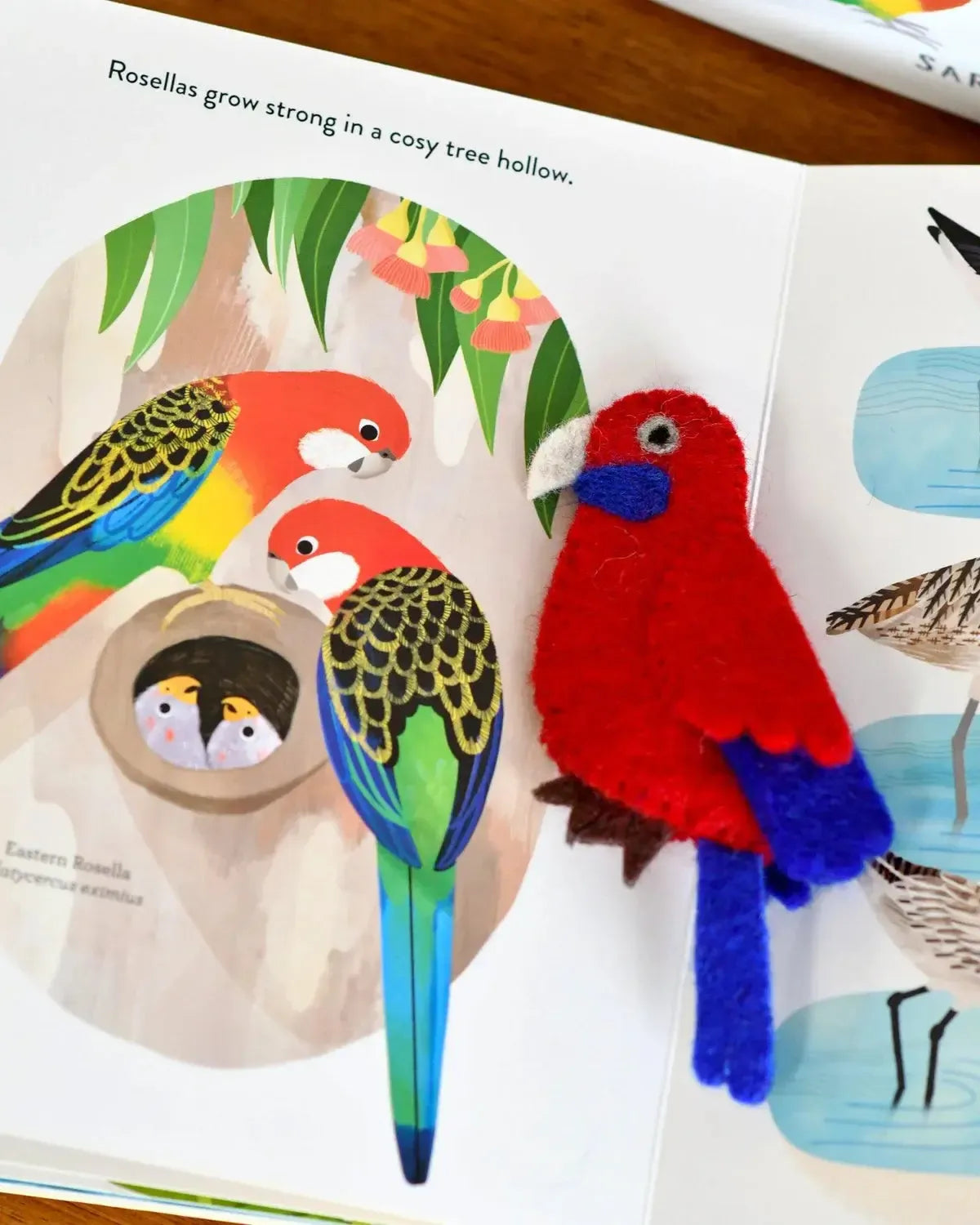 Busy Beaks Finger Puppets and Book Set by Sarah Allen-Toys-Tara Treasures-The Bay Room