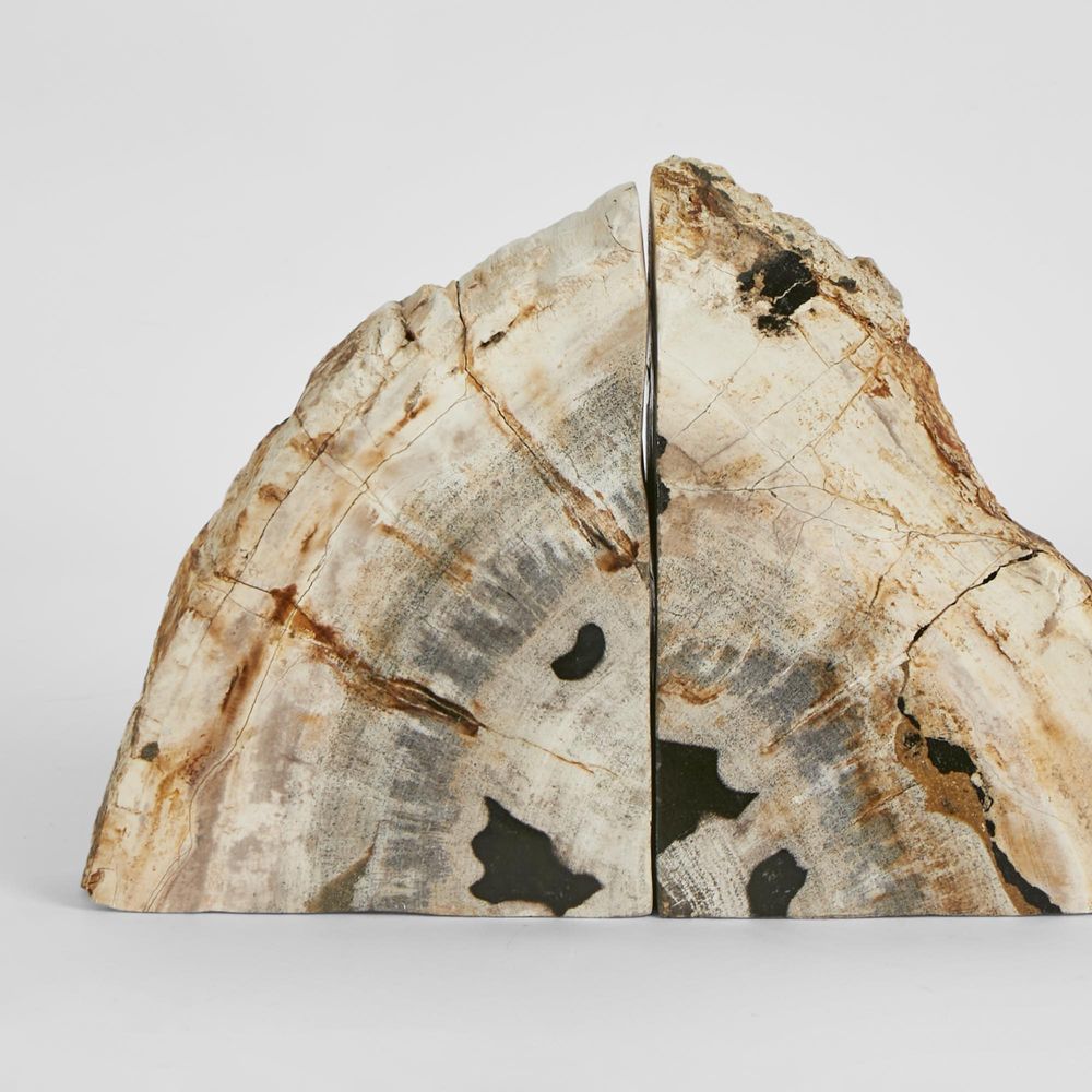 Cinagara Petrified Wood Bookends Set-Decor Items-Florabelle-The Bay Room
