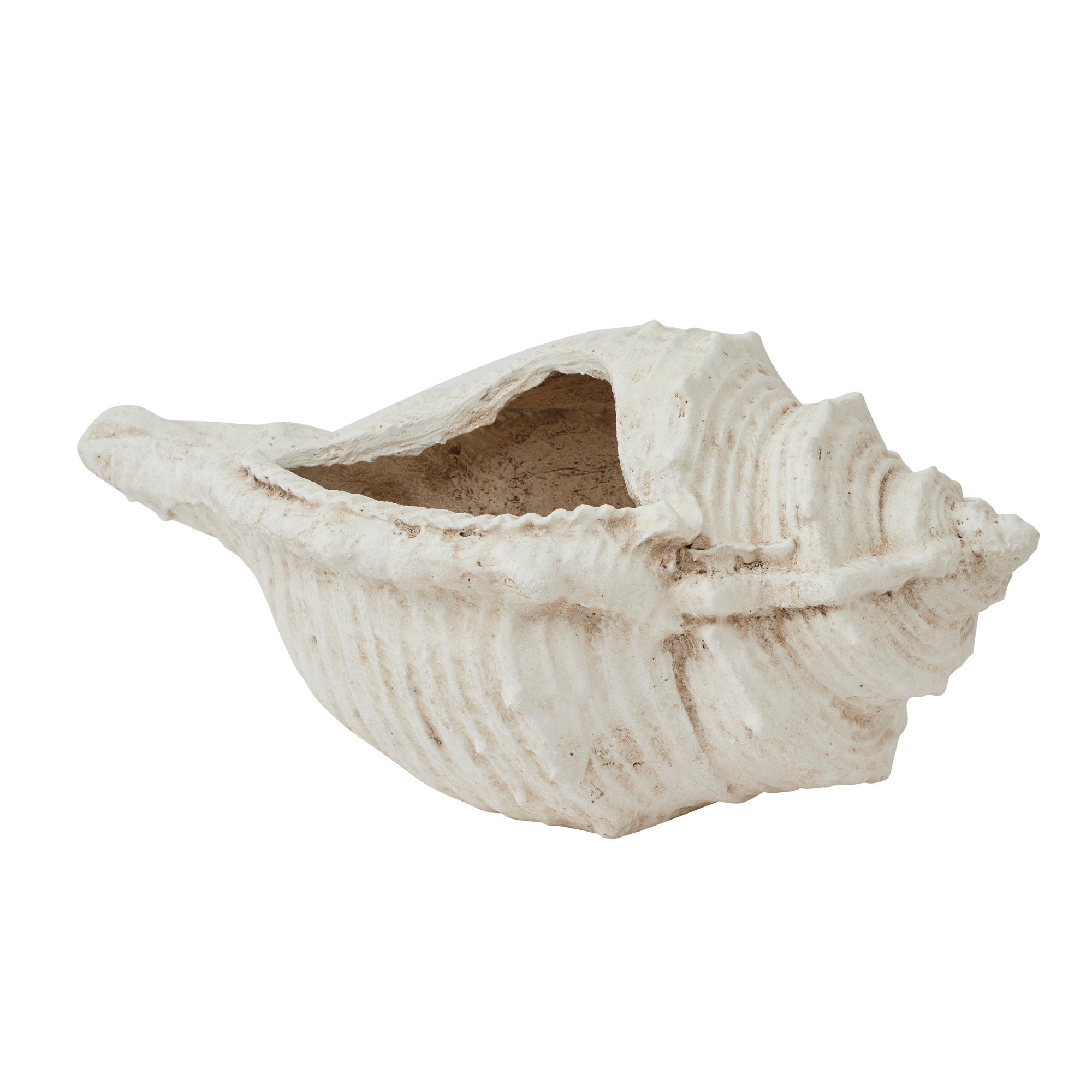 Conch Shell Composite Pot 65x37x32cm White-Decor Items-Coast To Coast Home-The Bay Room