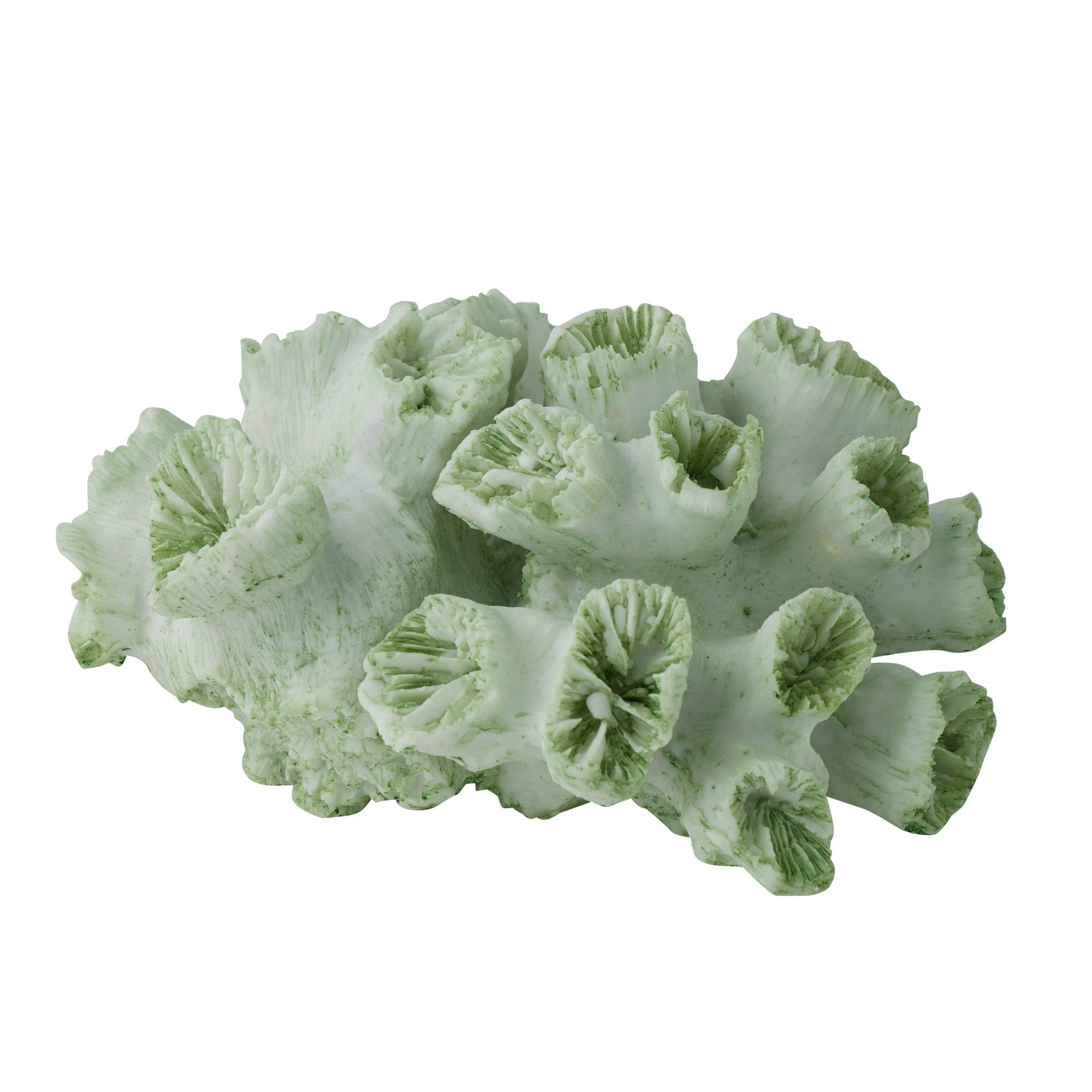 Coral Resin Sculpture 16x14x8cm Mint-Decor Items-Coast To Coast Home-The Bay Room