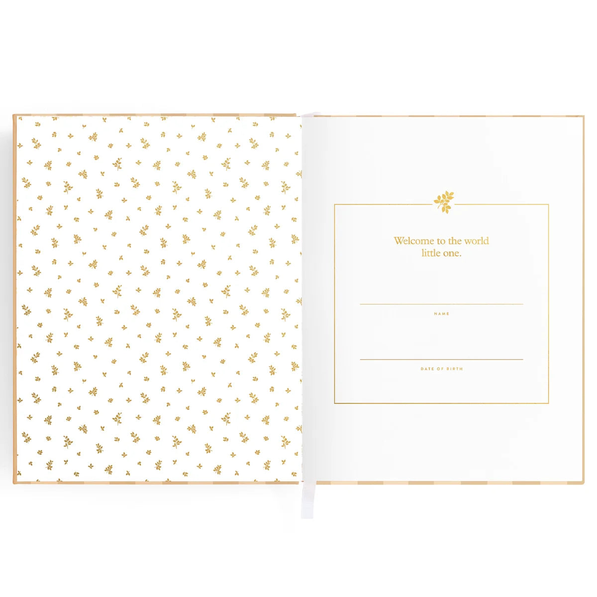 Baby Book Coffee Stripe - 3rd Edition