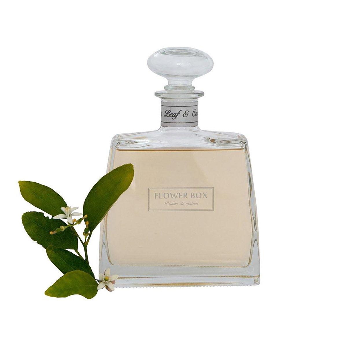 Fig Leaf & Cedar Hallmark Diffuser 700mL-Candles & Fragrance-Flower Box-The Bay Room