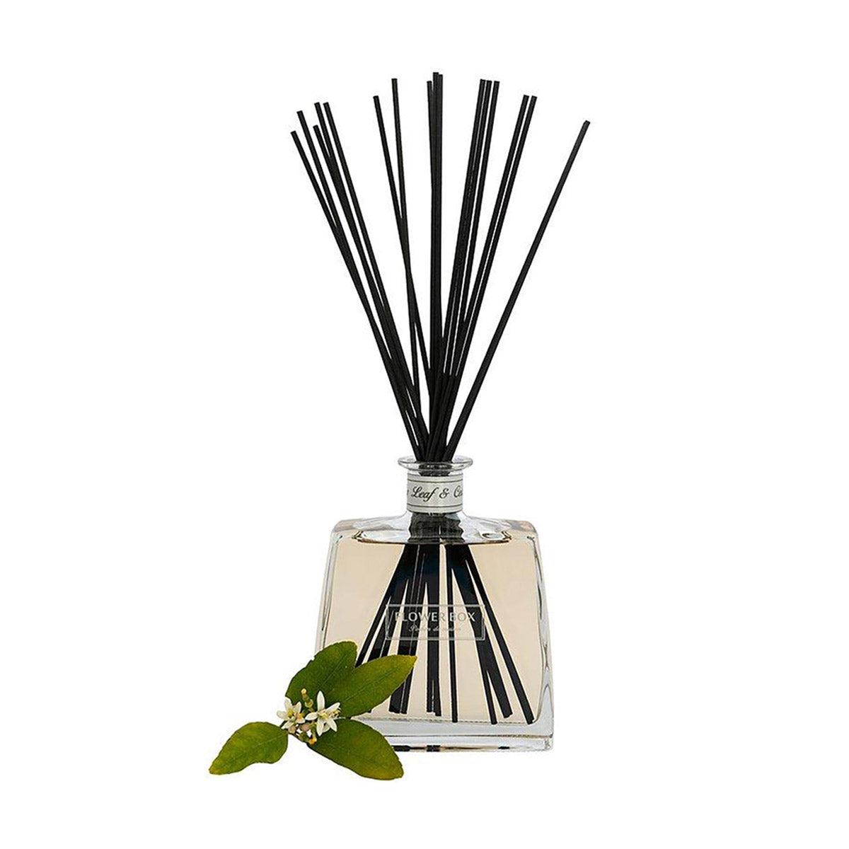 Fig Leaf & Cedar Hallmark Diffuser 700mL-Candles & Fragrance-Flower Box-The Bay Room