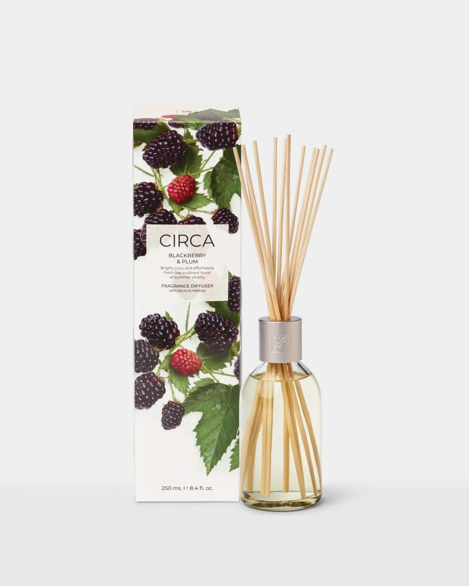 Fragrance Diffuser 250ml-Candles & Fragrances-Circa-Blackberry & Plum-The Bay Room