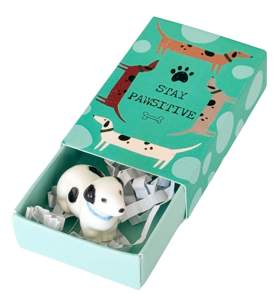 Pawsitive Dog Matchbox Memory Turquoise 5cm-Decor Items-Urban Products-The Bay Room