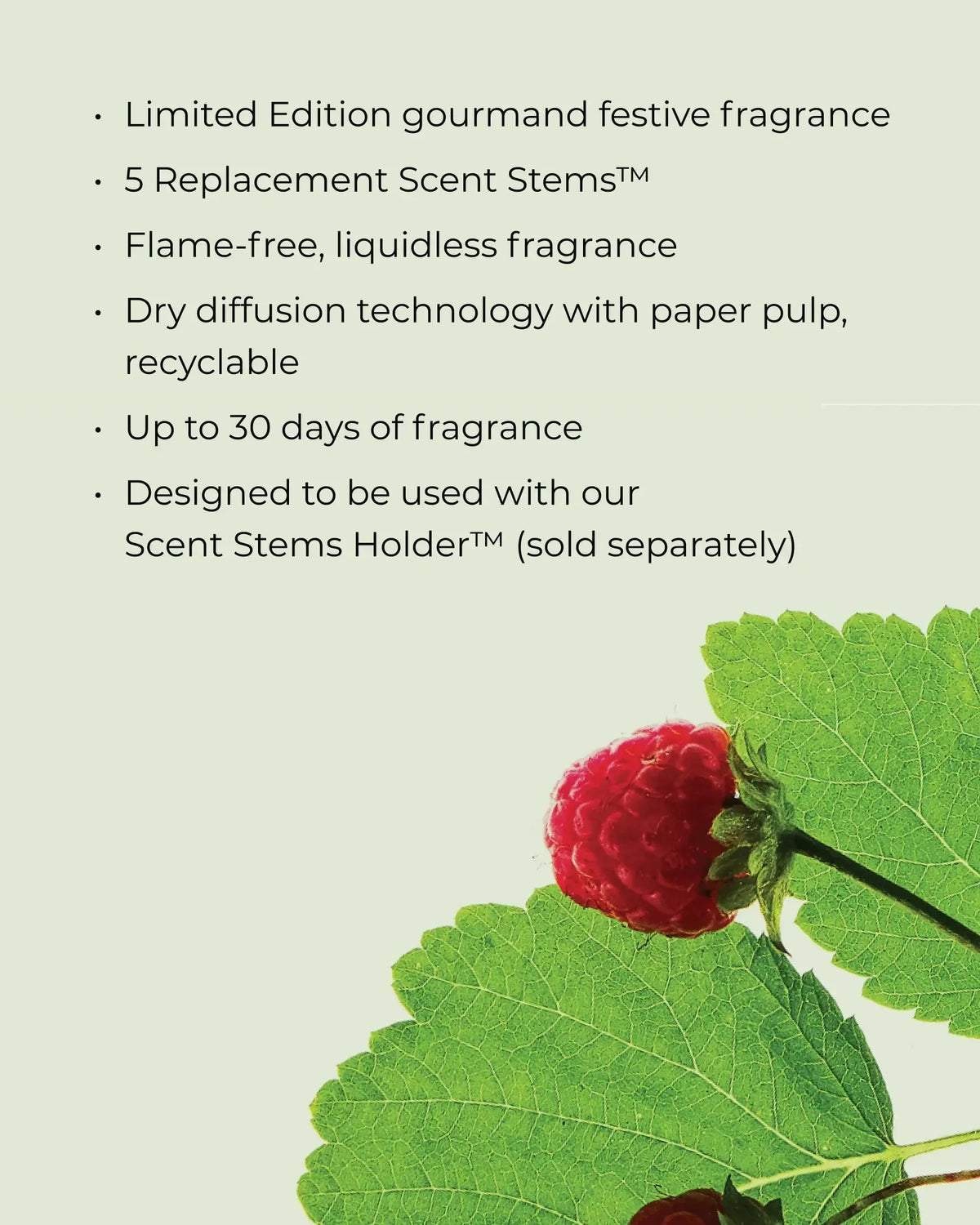 Replacement Scent Stems - Raspberry & Rhubarb-Christmas-Circa-The Bay Room