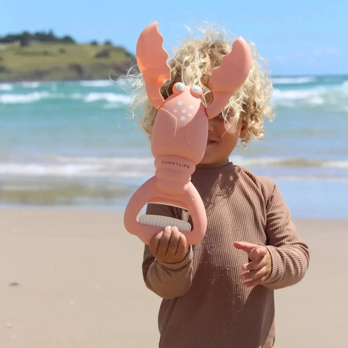 Sand Claws Lobster Coral-Travel & Outdoors-Sunny Life-The Bay Room