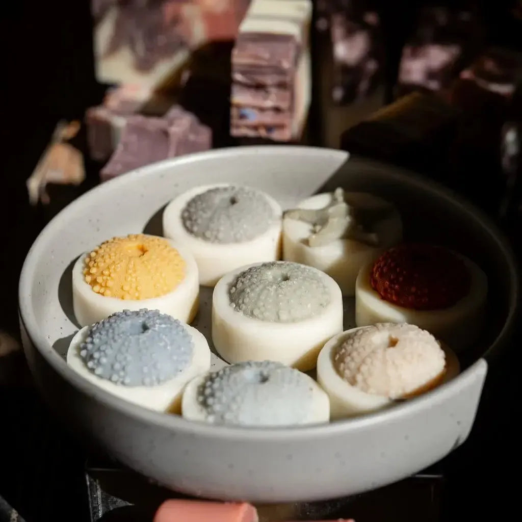 Shell Soap-Beauty & Well-Being-Dindi Naturals-The Bay Room