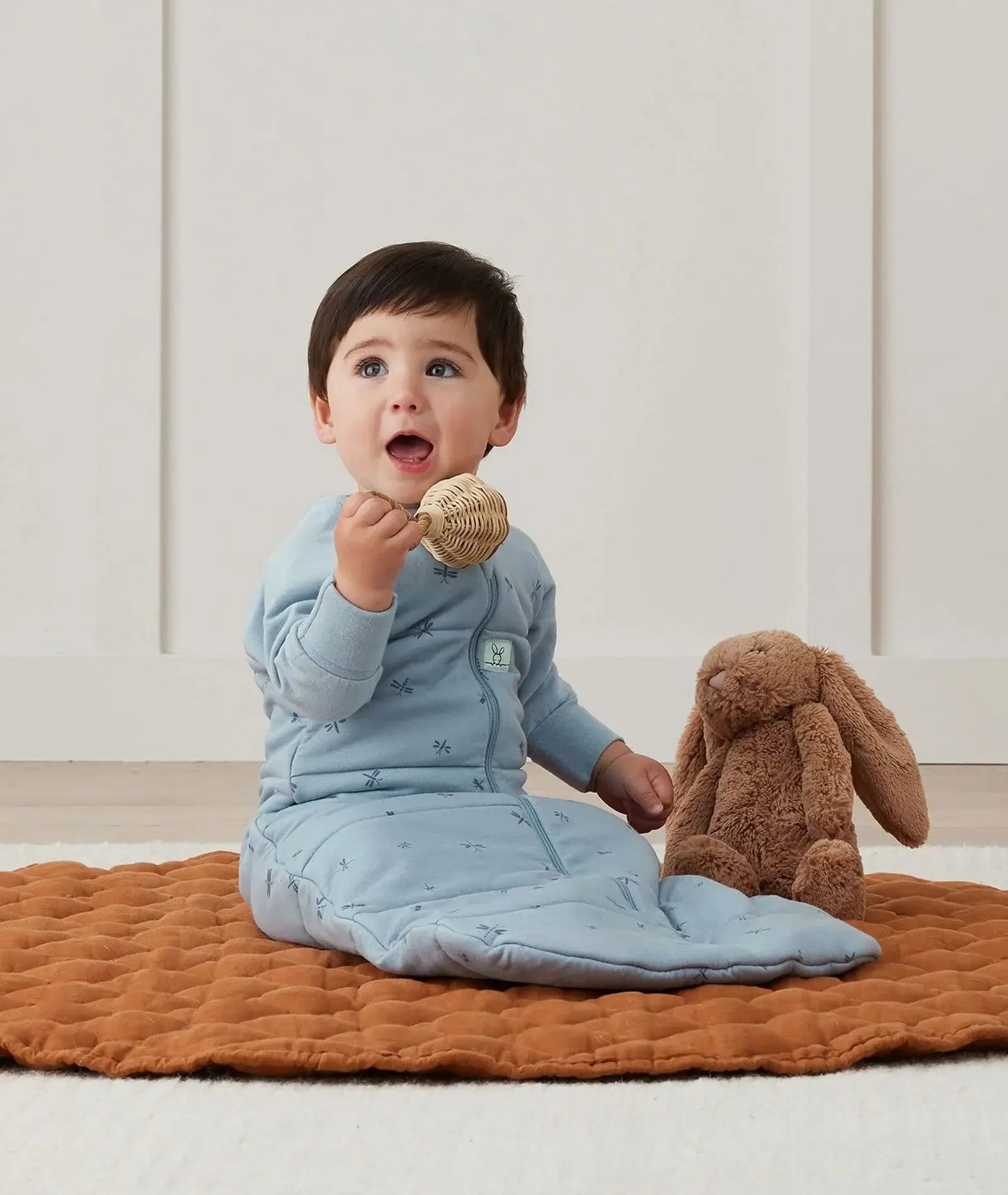 Sleeping Bag Sleeved Dragonflies-Nursery & Nurture-ergoPouch-The Bay Room