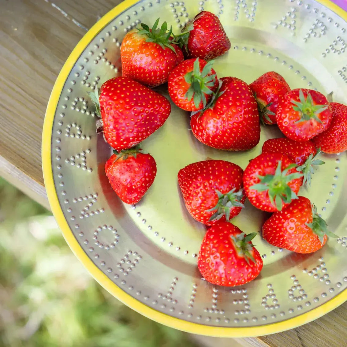 Stainless Steel Plate - 25cm - Yellow-Dining & Entertaining-Talking Tables-The Bay Room