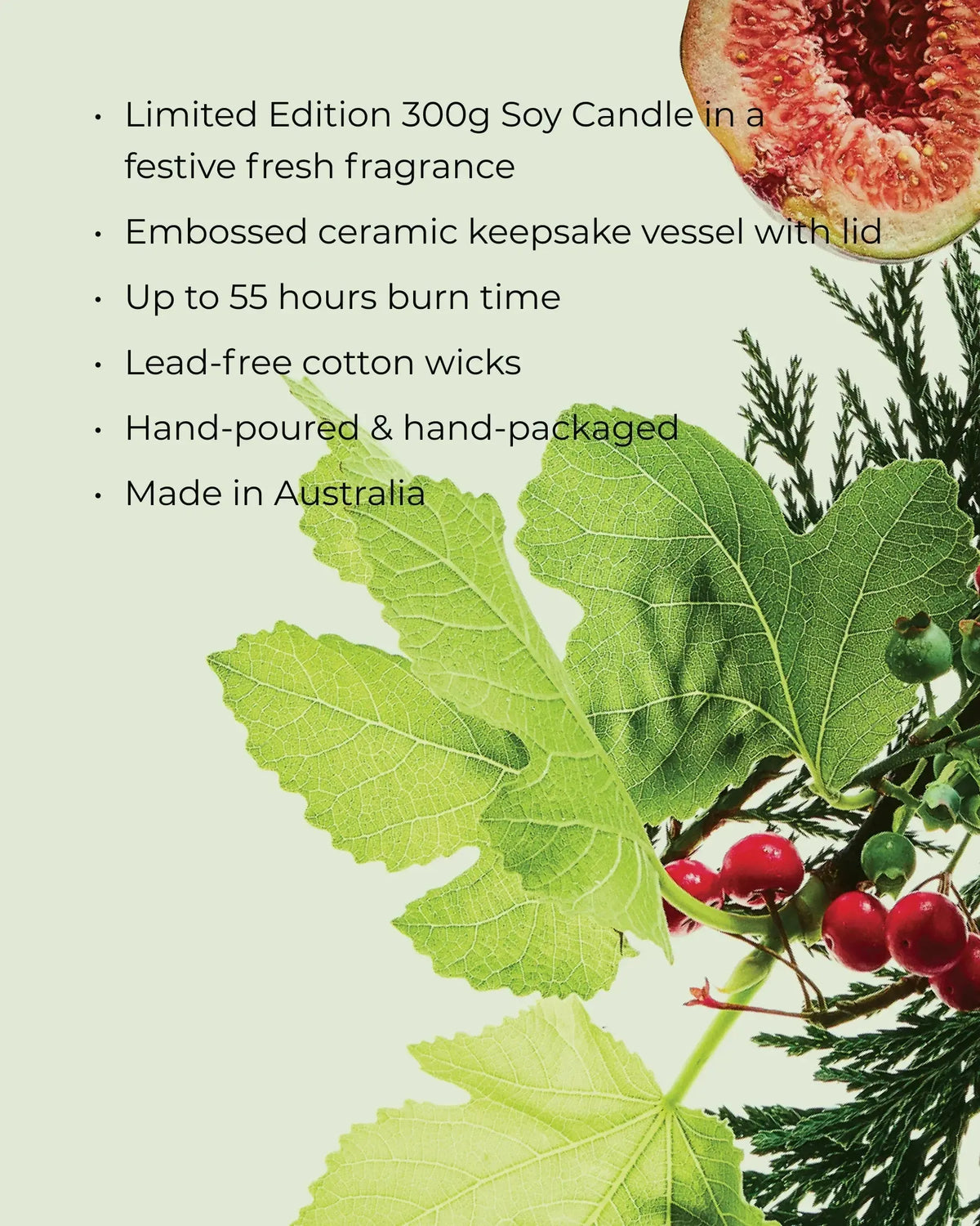 300g Candle - White Fig & Cedar-Christmas-Circa-The Bay Room