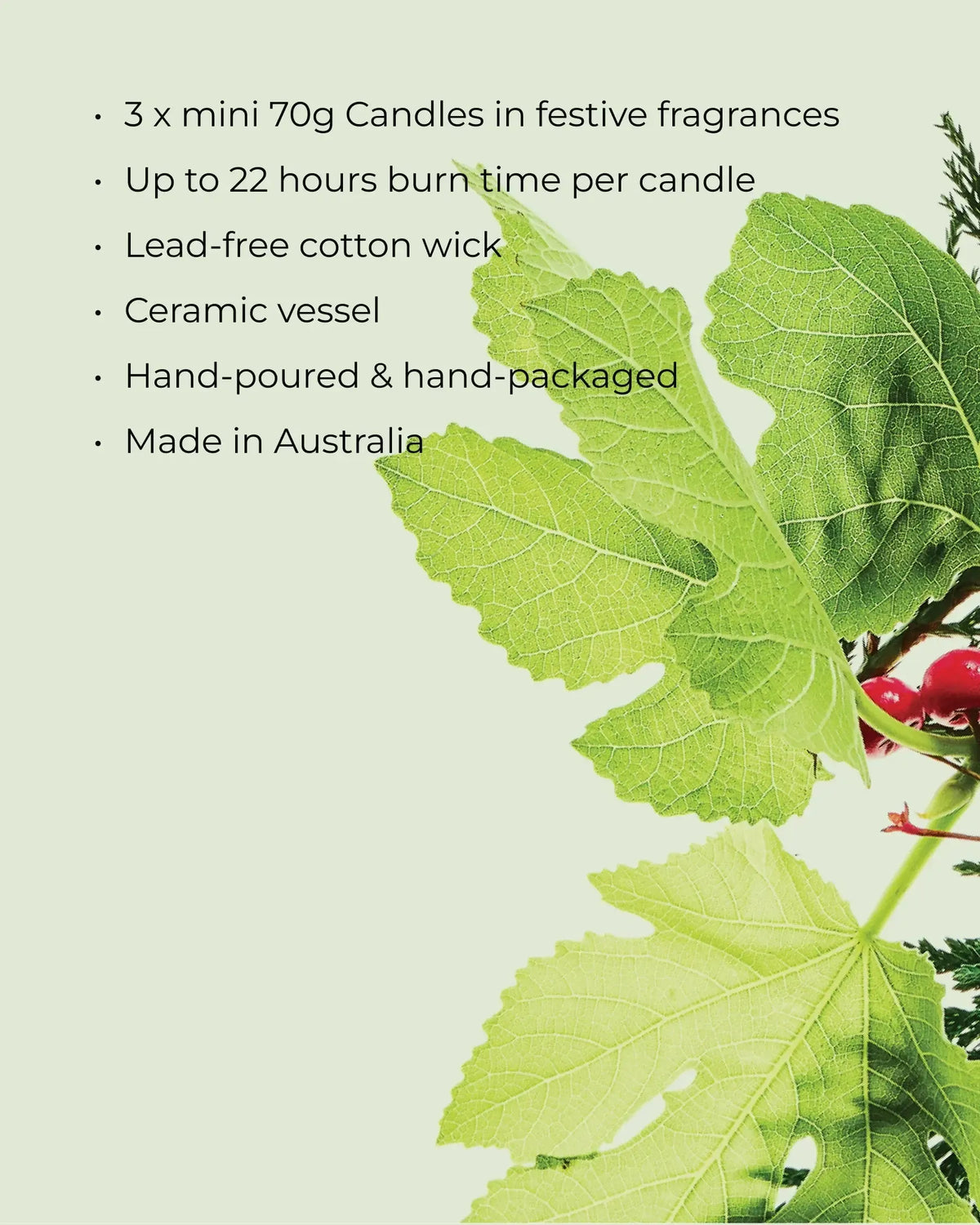 3x70g Candle Trio - Raspberry & Rhubarb, White Fig & Cedar, Gingerbread Cookies-Christmas-Circa-The Bay Room