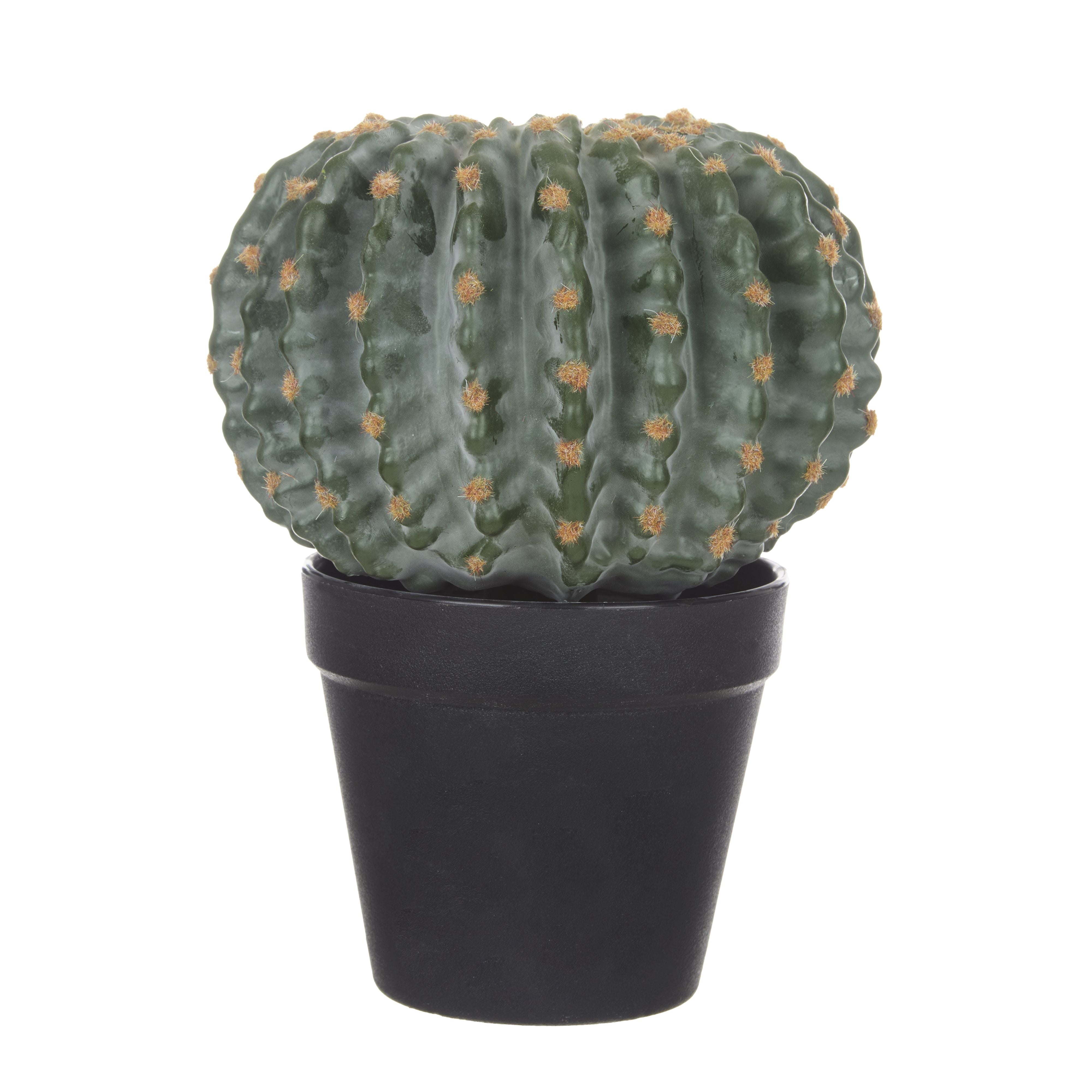 Barrel Cactus Garden Pot 26cm-Decor Items-Rogue Home-The Bay Room