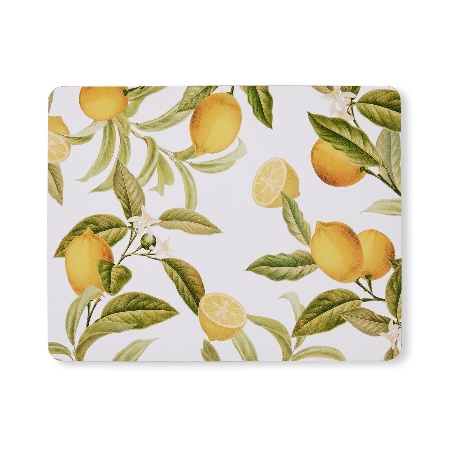 Citrus Rectangle Placemat Set of 4-Dining & Entertaining-Madras Link-The Bay Room