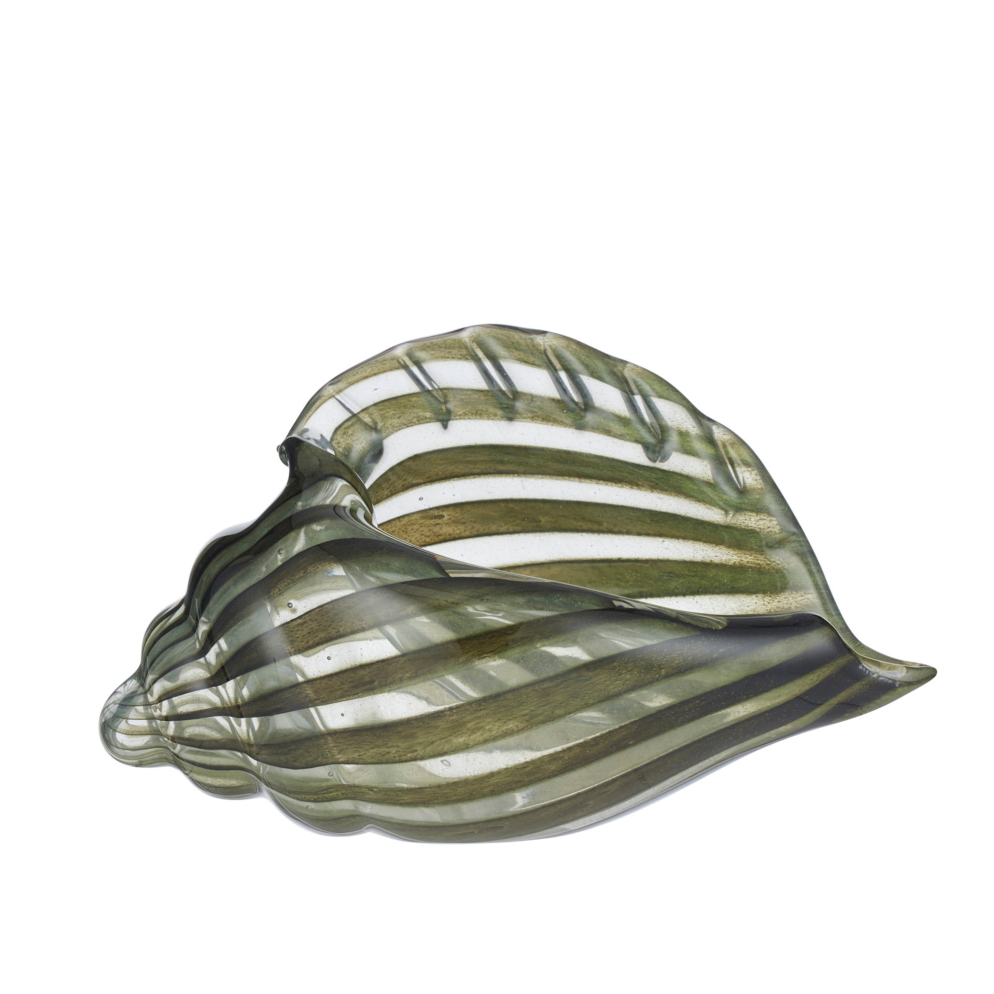Conch Shell Glass Sculpture 22x11x13cm Olive-Decor Items-Coast To Coast Home-The Bay Room