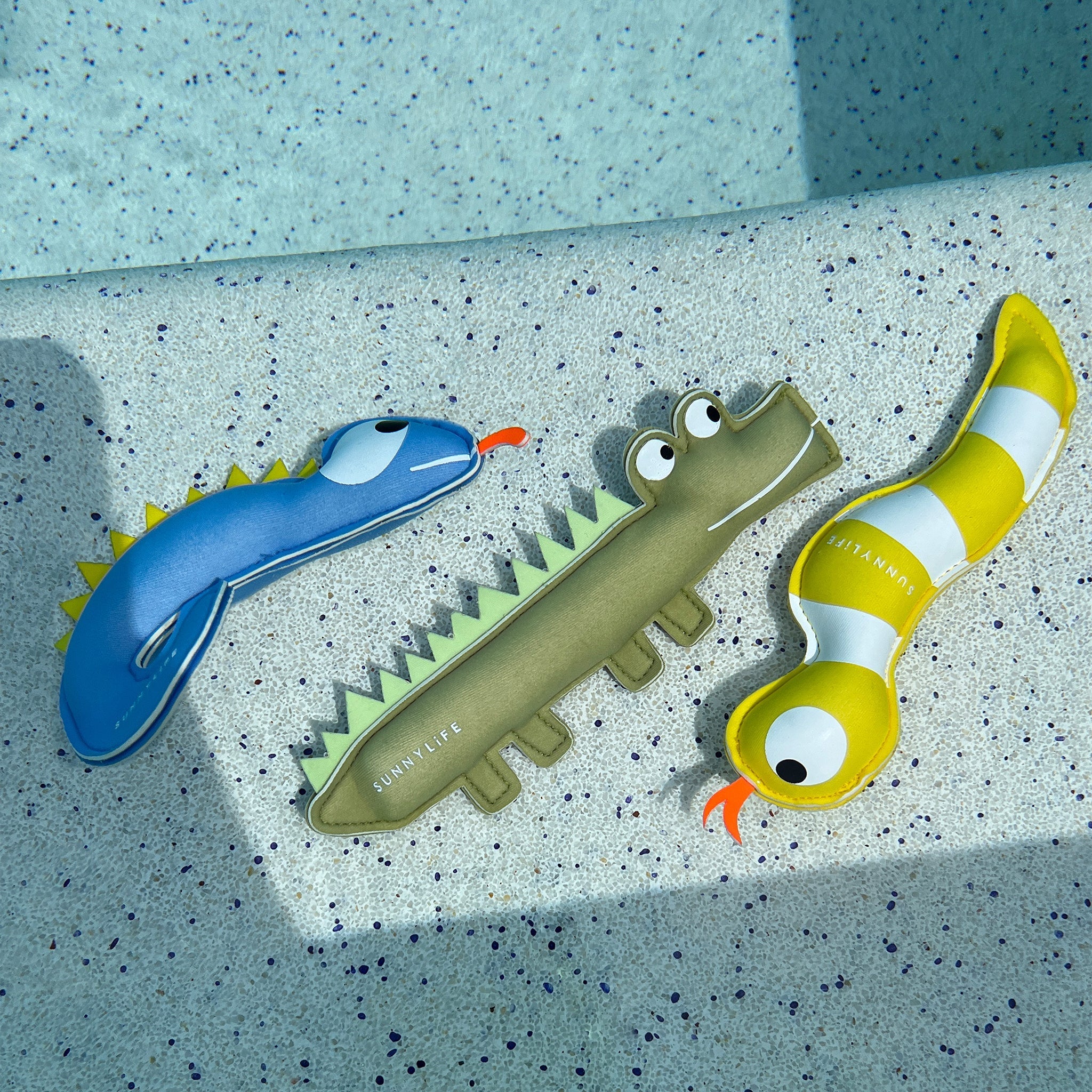 Dive Buddies Into the Wild Multi Set of 3-Travel & Outdoors-Sunny Life-The Bay Room