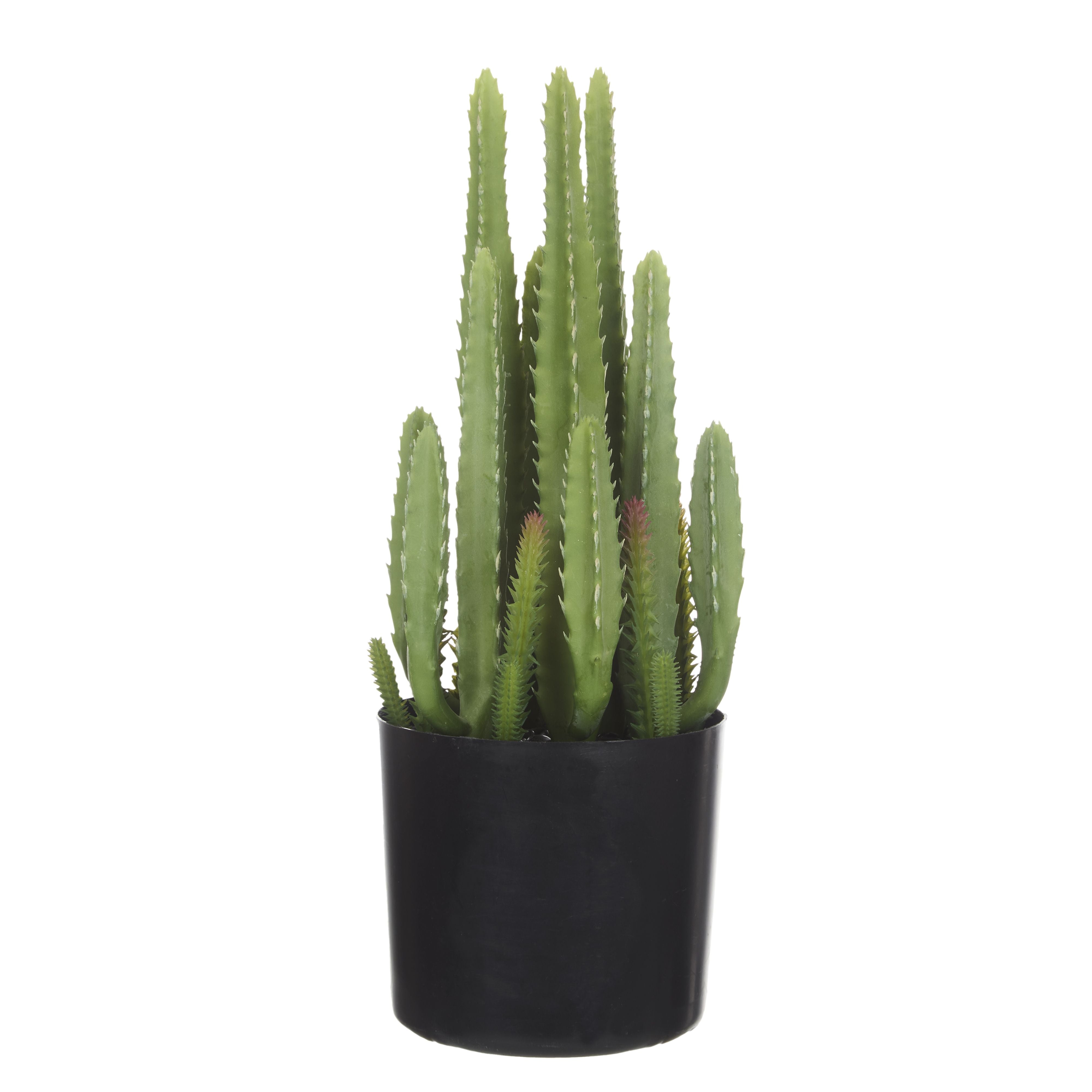 Fairy Castle Cactus 12.7x12.7x35cm-Decor Items-Rogue Home-The Bay Room