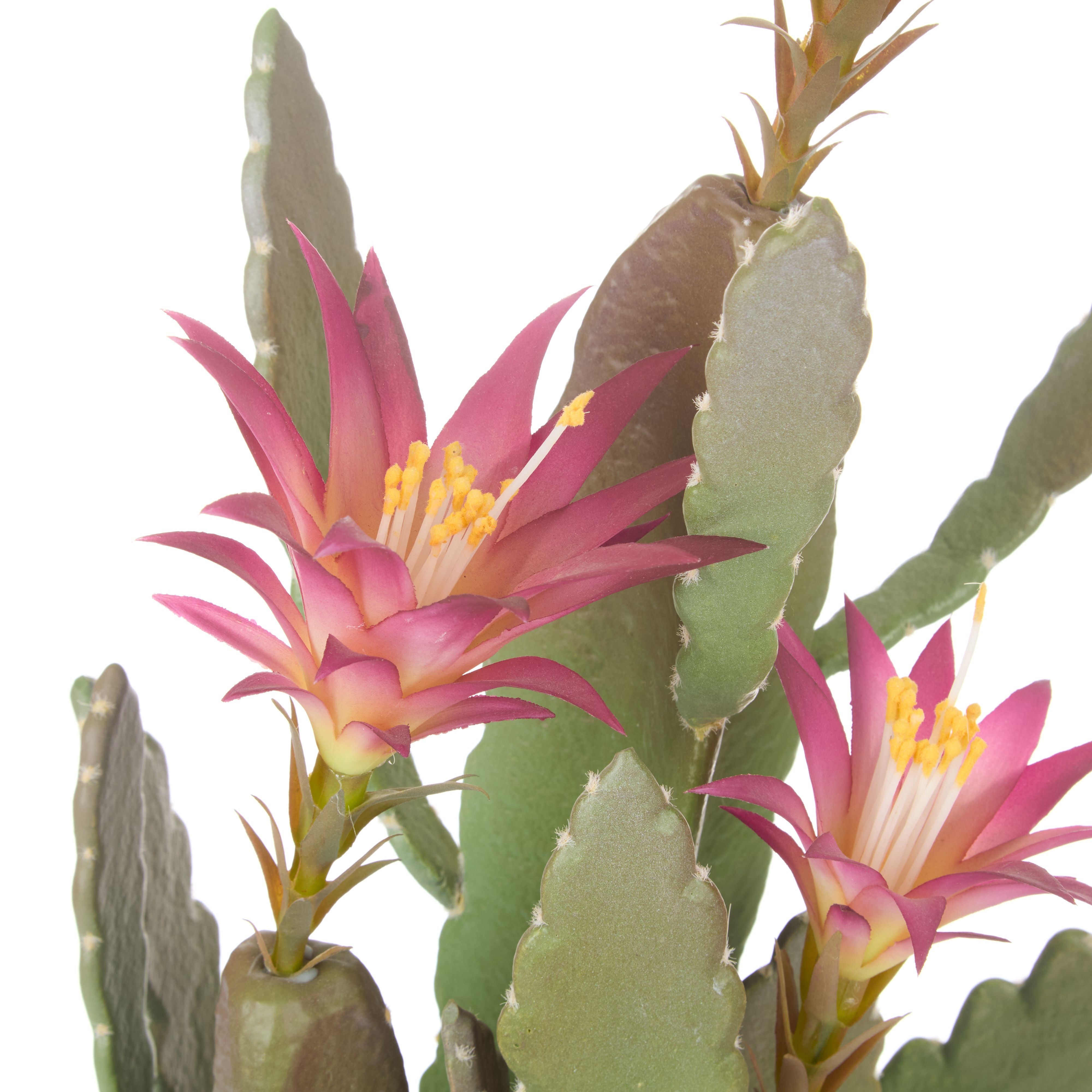 Flowering Cactus 26x26x78.7cm-Decor Items-Rogue Home-The Bay Room