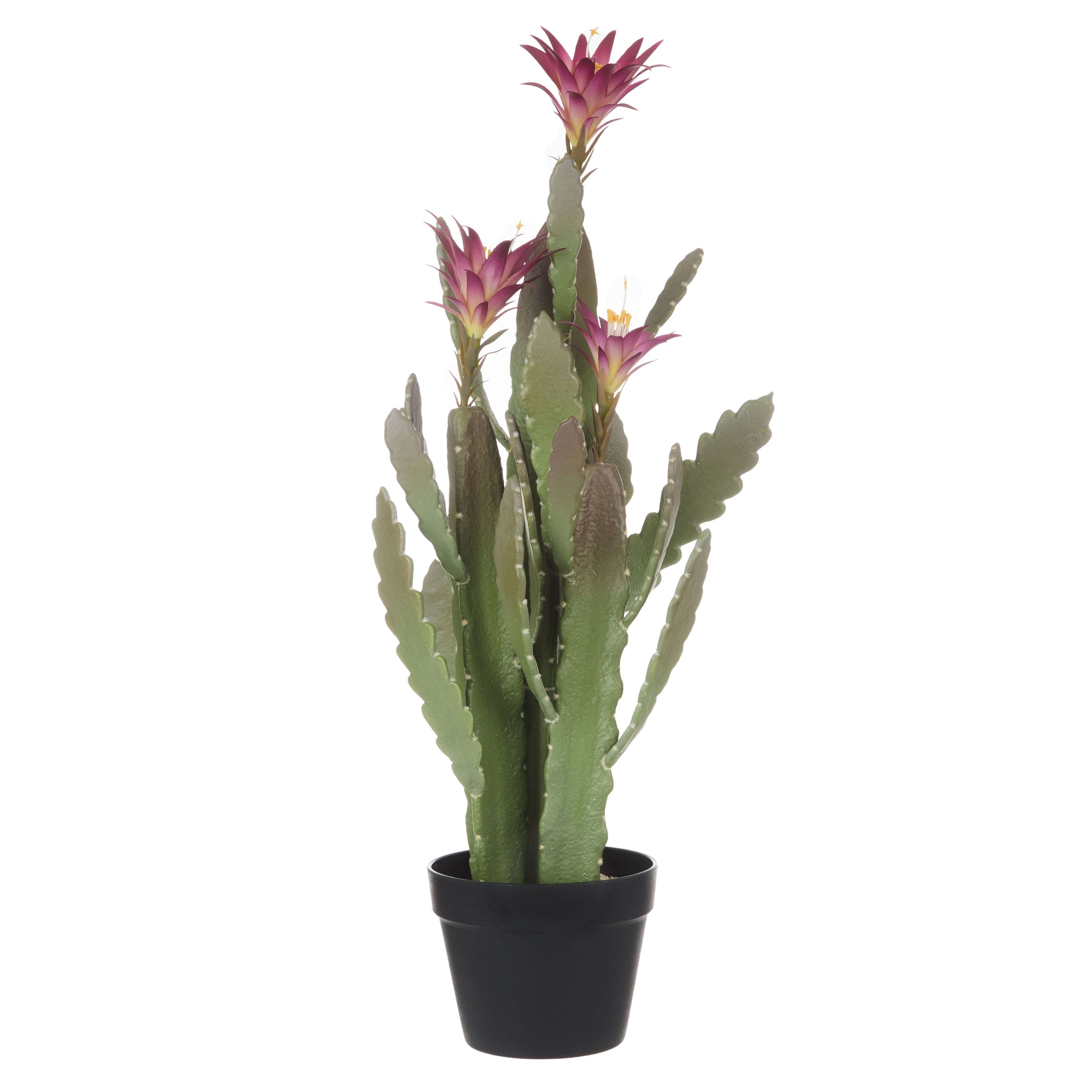 Flowering Cactus 26x26x78.7cm-Decor Items-Rogue Home-The Bay Room