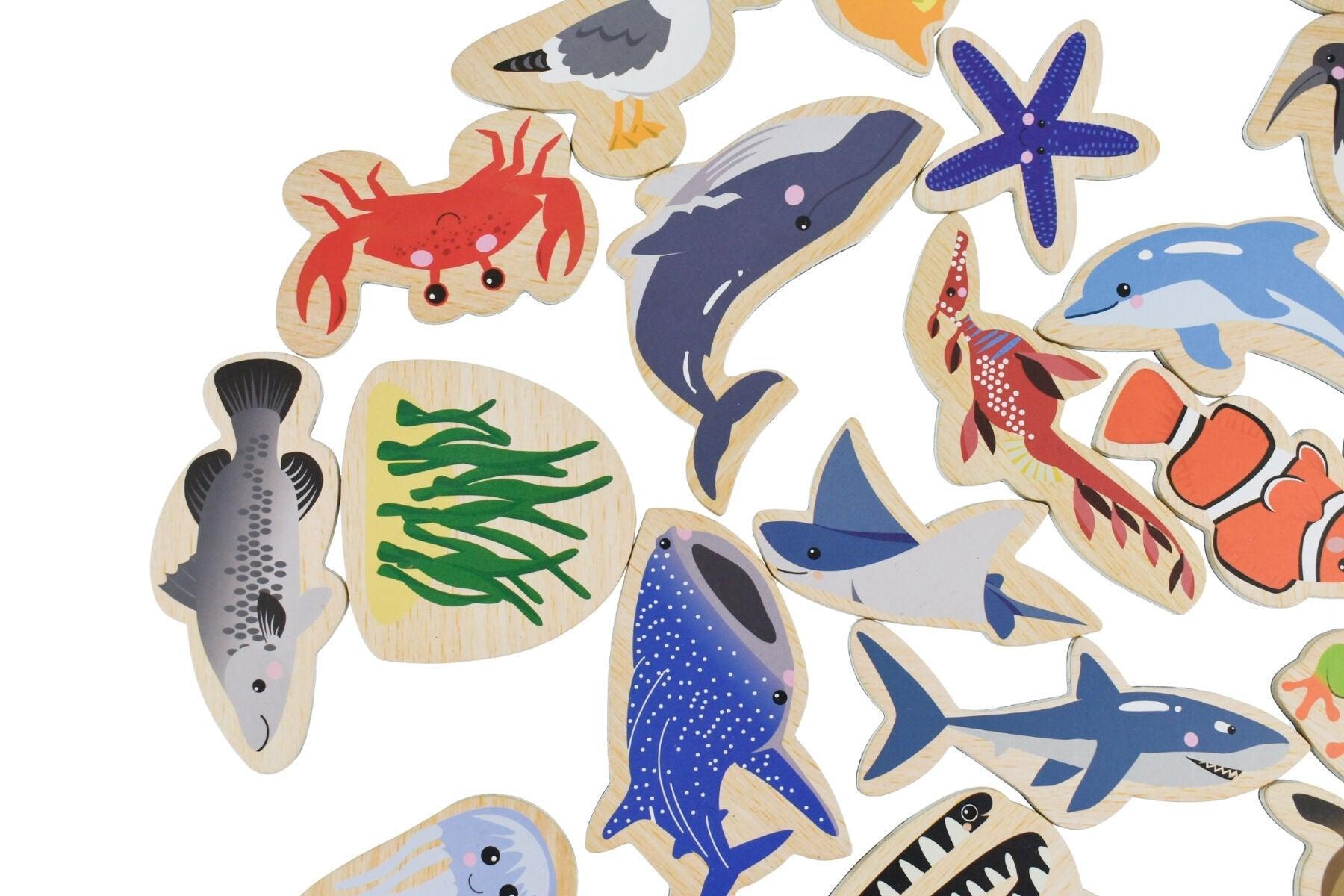 Fridge Friends Magnetic Australian Sea Animals 25pcs-Toys-Eleganter-The Bay Room