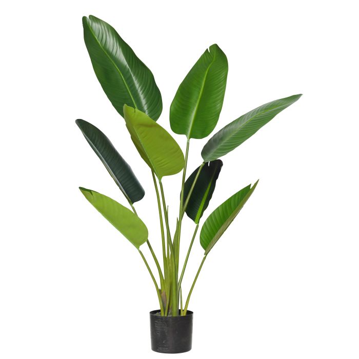 Giant Bird Of Paradise Plant 122cm-Decor Items-Rogue Home-The Bay Room