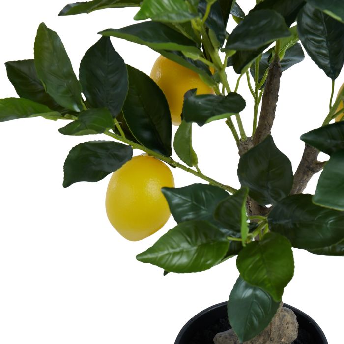 Lemon Tree 60x41x38cm-Decor Items-Rogue Home-The Bay Room