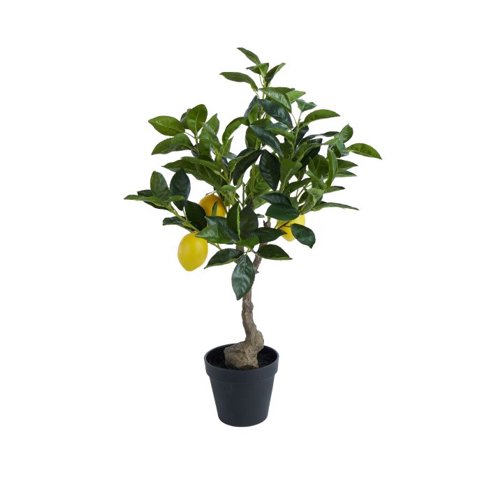 Lemon Tree 60x41x38cm-Decor Items-Rogue Home-The Bay Room