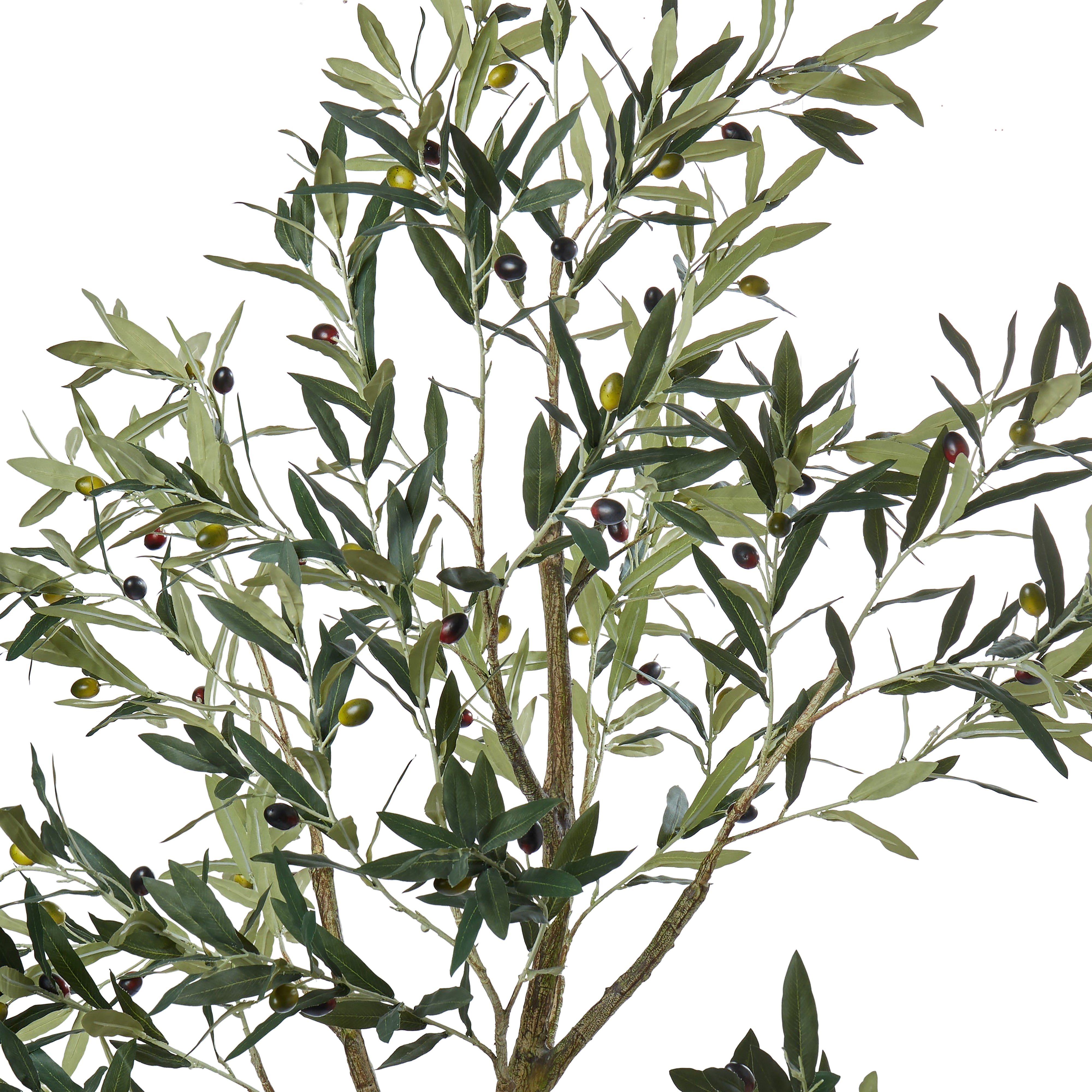 Olive Tree 61x61x183cm-Decor Items-Rogue Home-The Bay Room