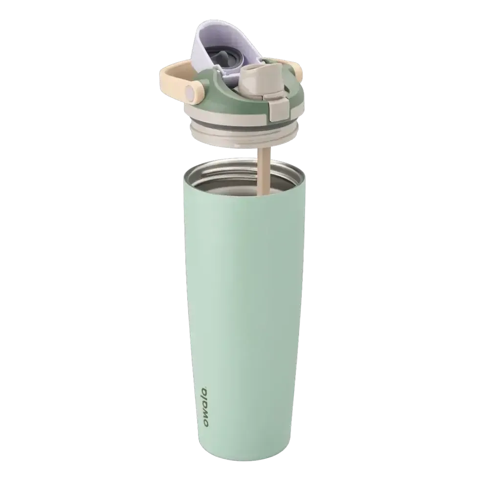Owala Freesip Sway Stainless Steel Insulated Bottle 890mL - Eucalyptus-Travel & Outdoors-Owala-The Bay Room