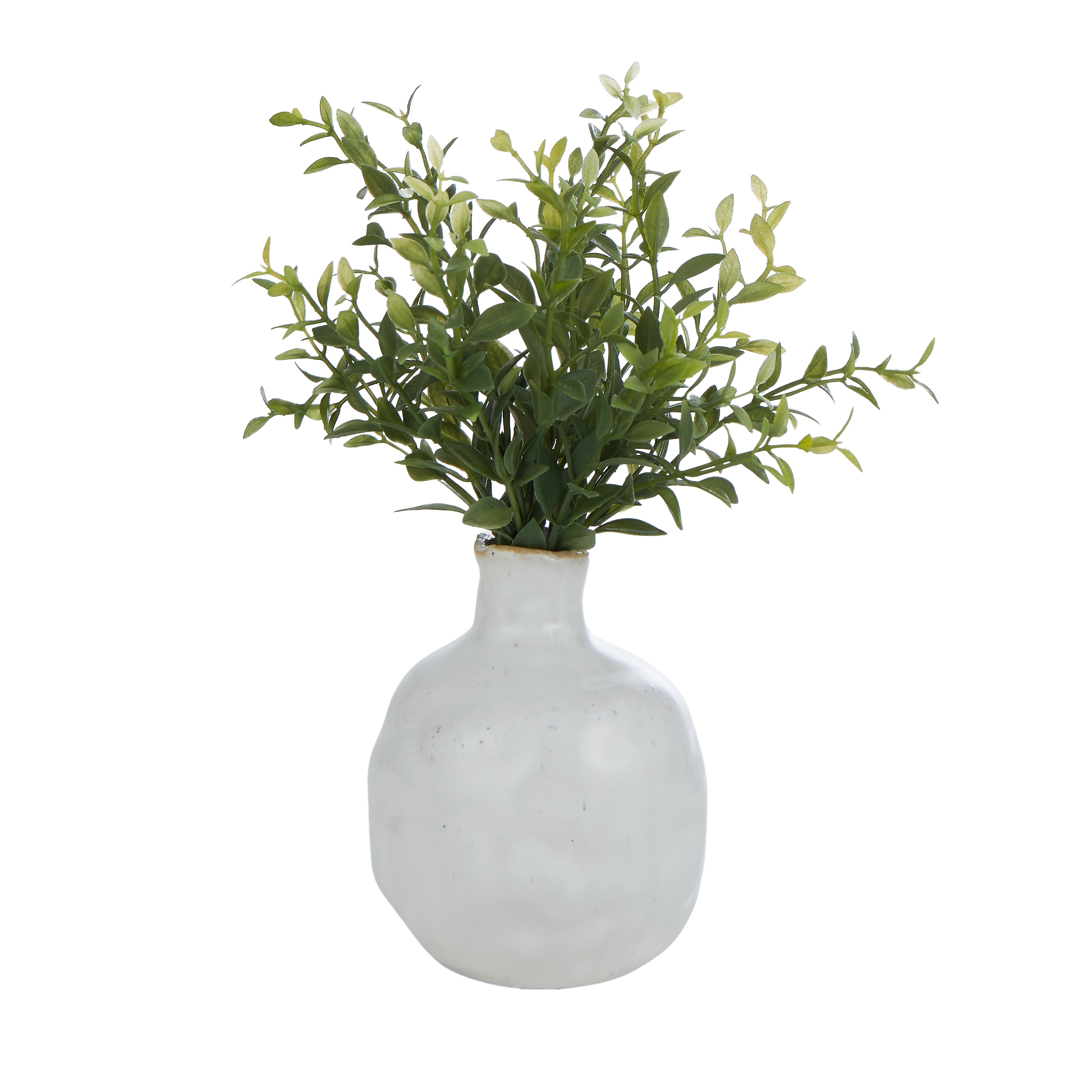 Pacey Vessel with Plant-Decor Items-Rogue Home-Plant A-The Bay Room