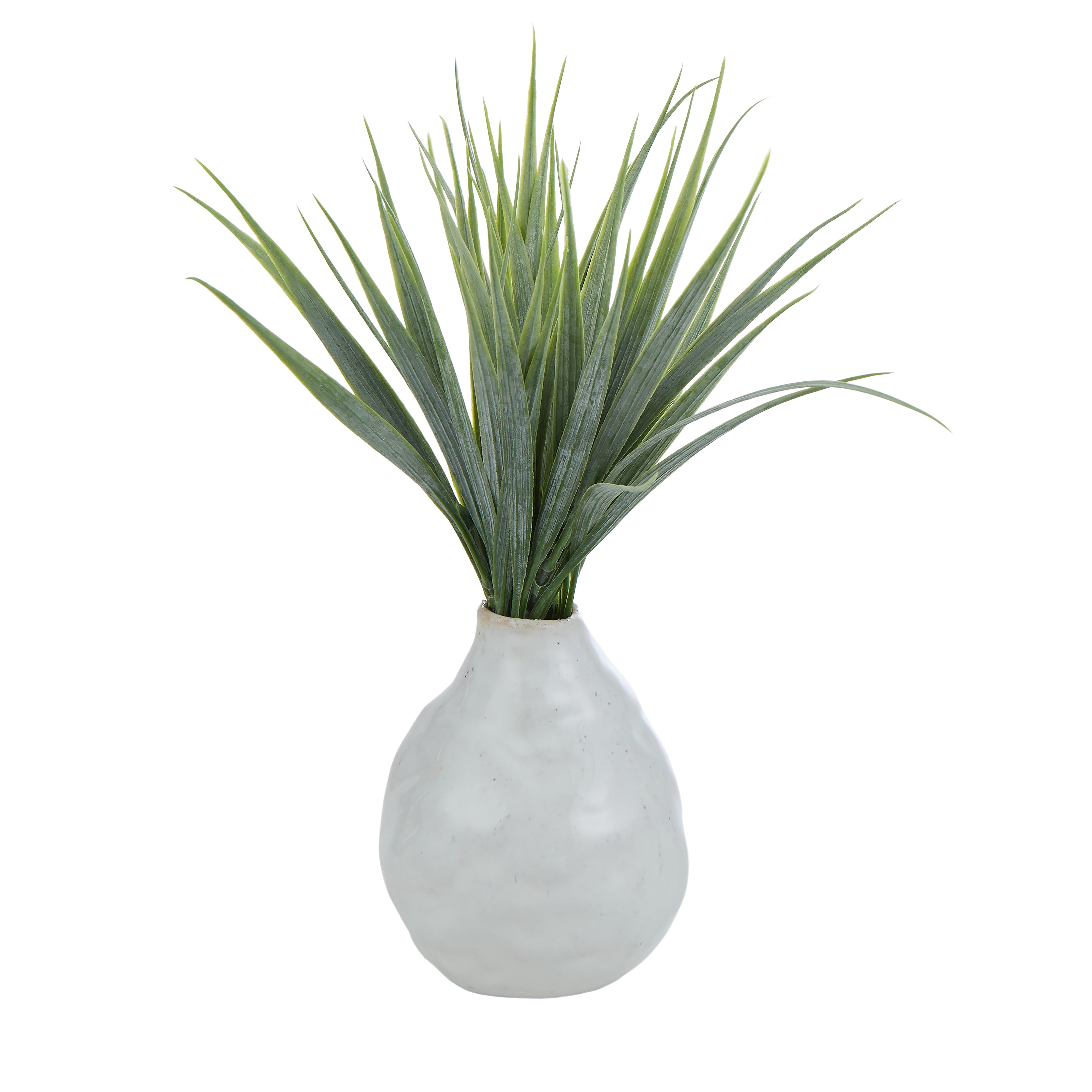 Pacey Vessel with Plant-Decor Items-Rogue Home-Plant B-The Bay Room