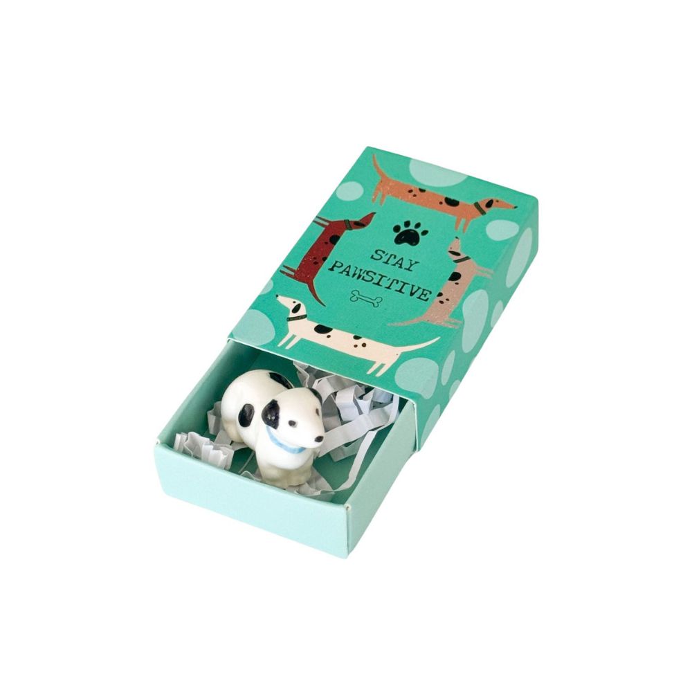 Pawsitive Dog Matchbox Memory Turquoise 5cm-Decor Items-Urban Products-The Bay Room