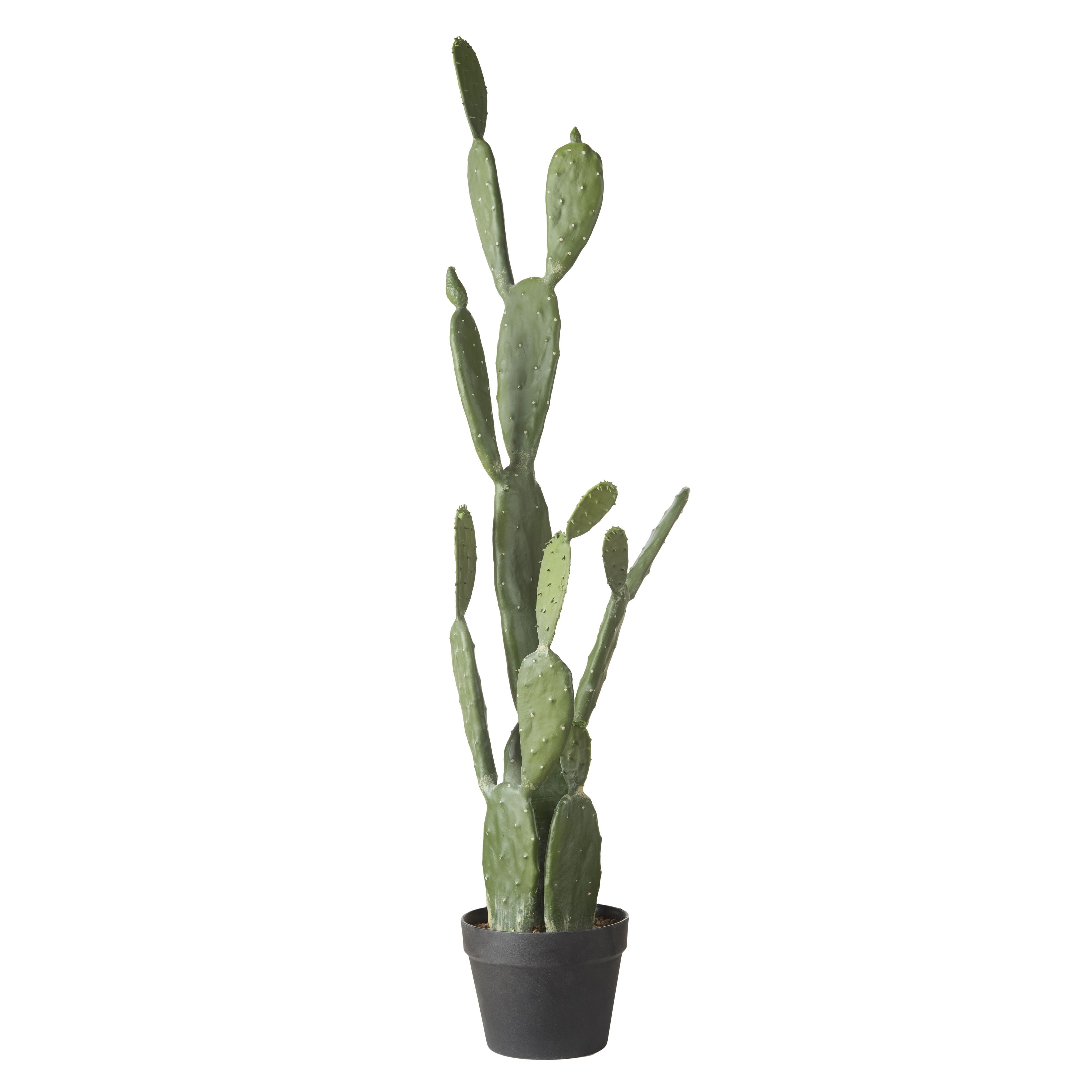 Pear Cactus Garden Pot 107cm-Decor Items-Rogue Home-The Bay Room