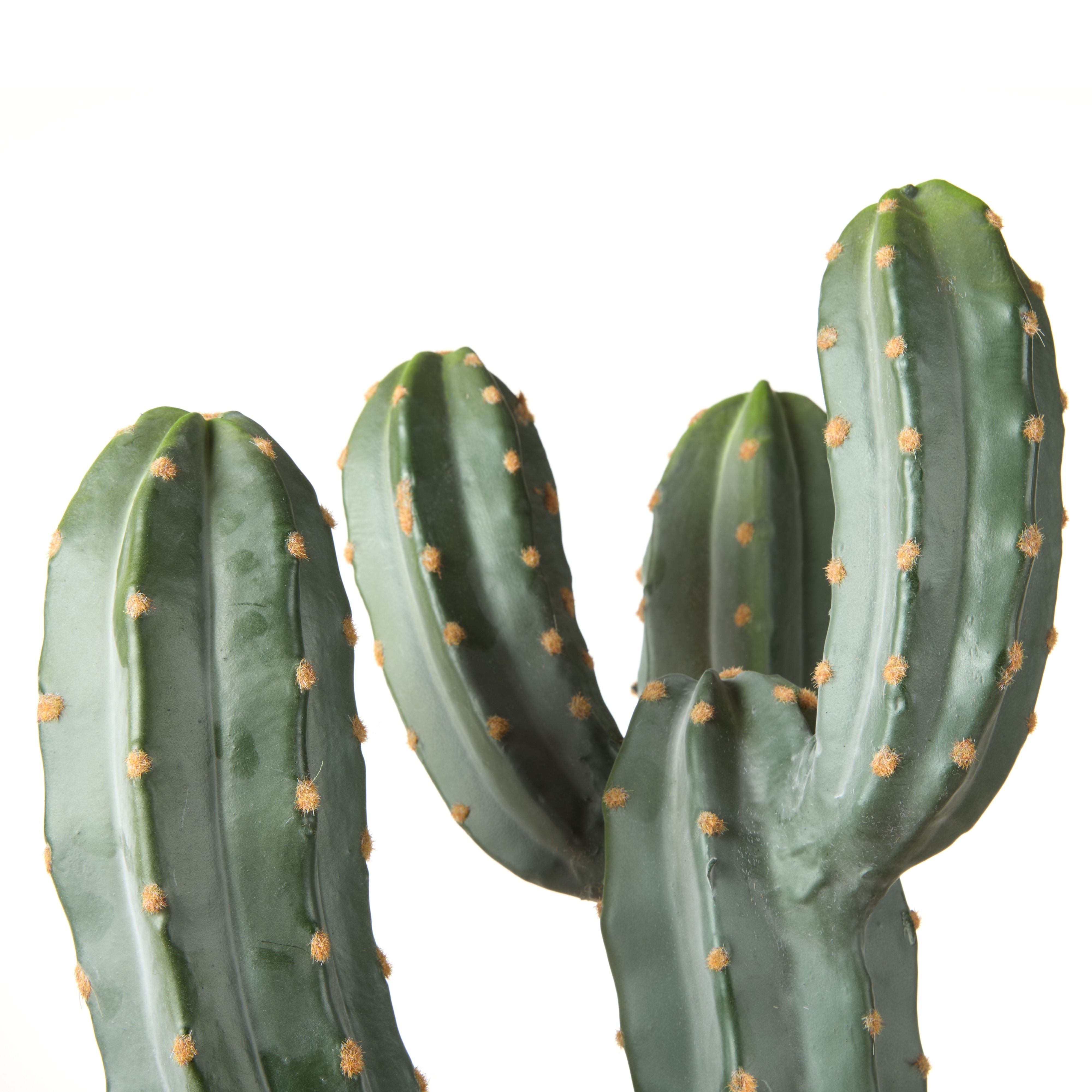 Saguaro Cactus Garden Pot 123cm-Decor Items-Rogue Home-The Bay Room