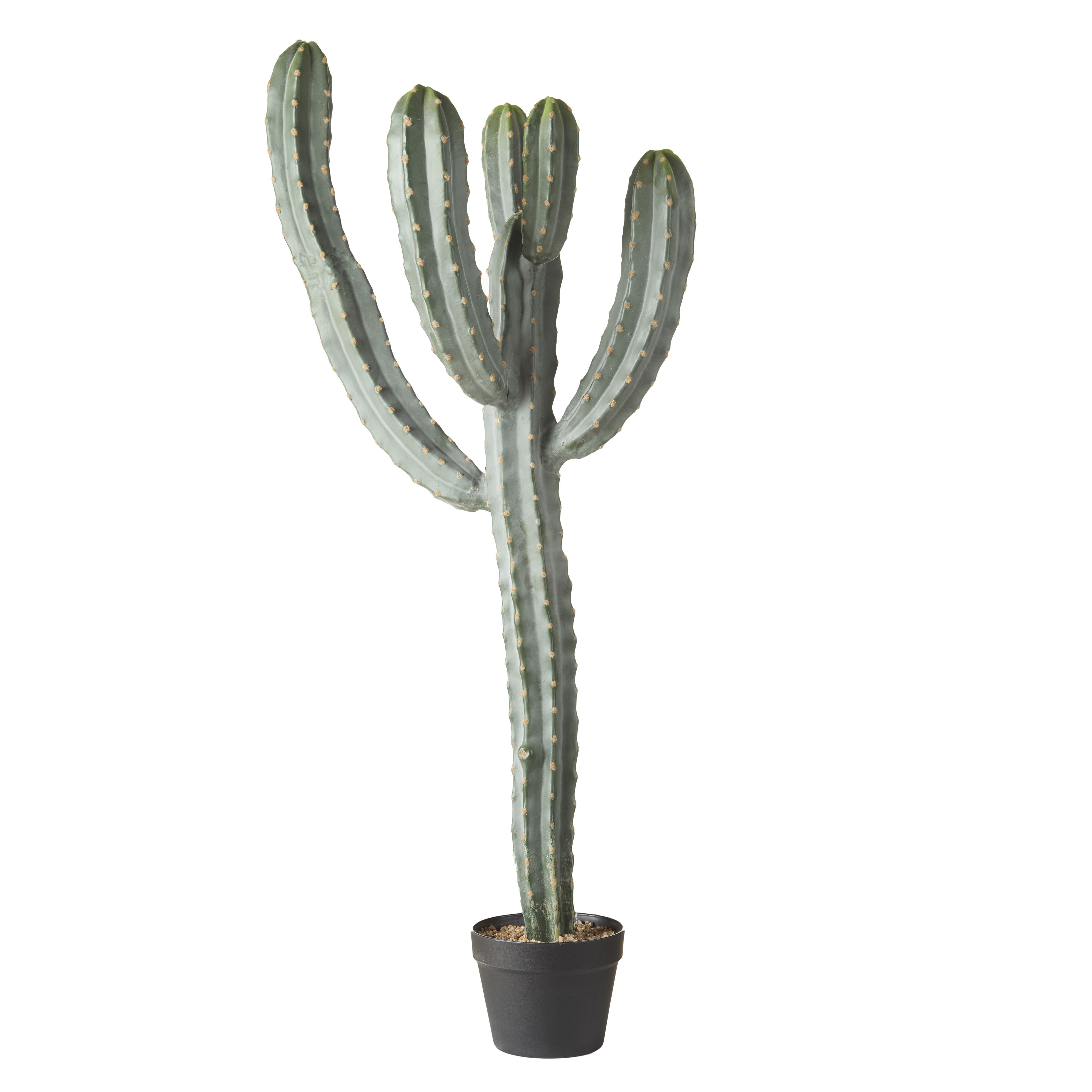 Saguaro Cactus Garden Pot 123cm-Decor Items-Rogue Home-The Bay Room