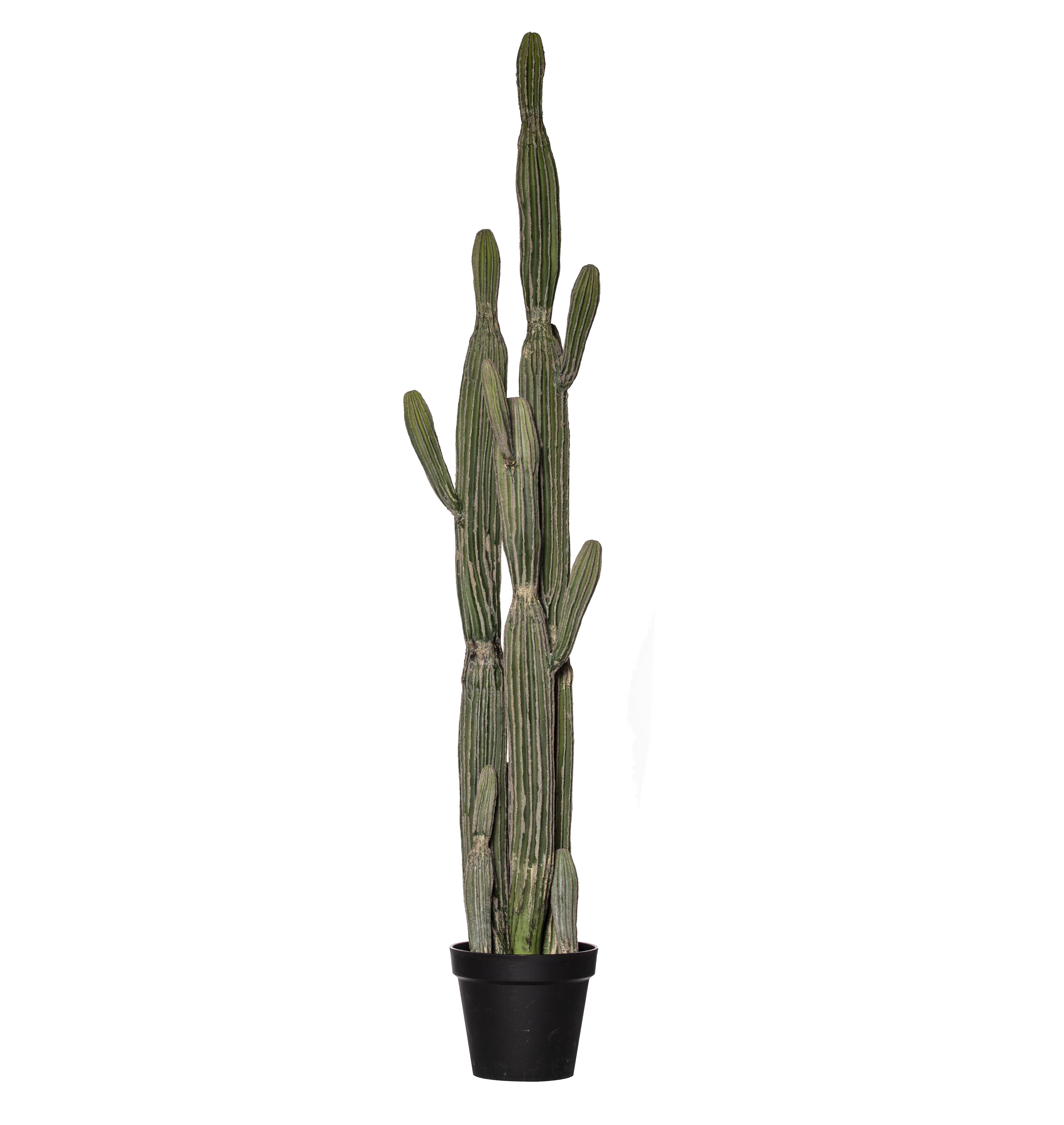 Saguaro Cactus Garden Pot 152cm-Decor Items-Rogue Home-The Bay Room