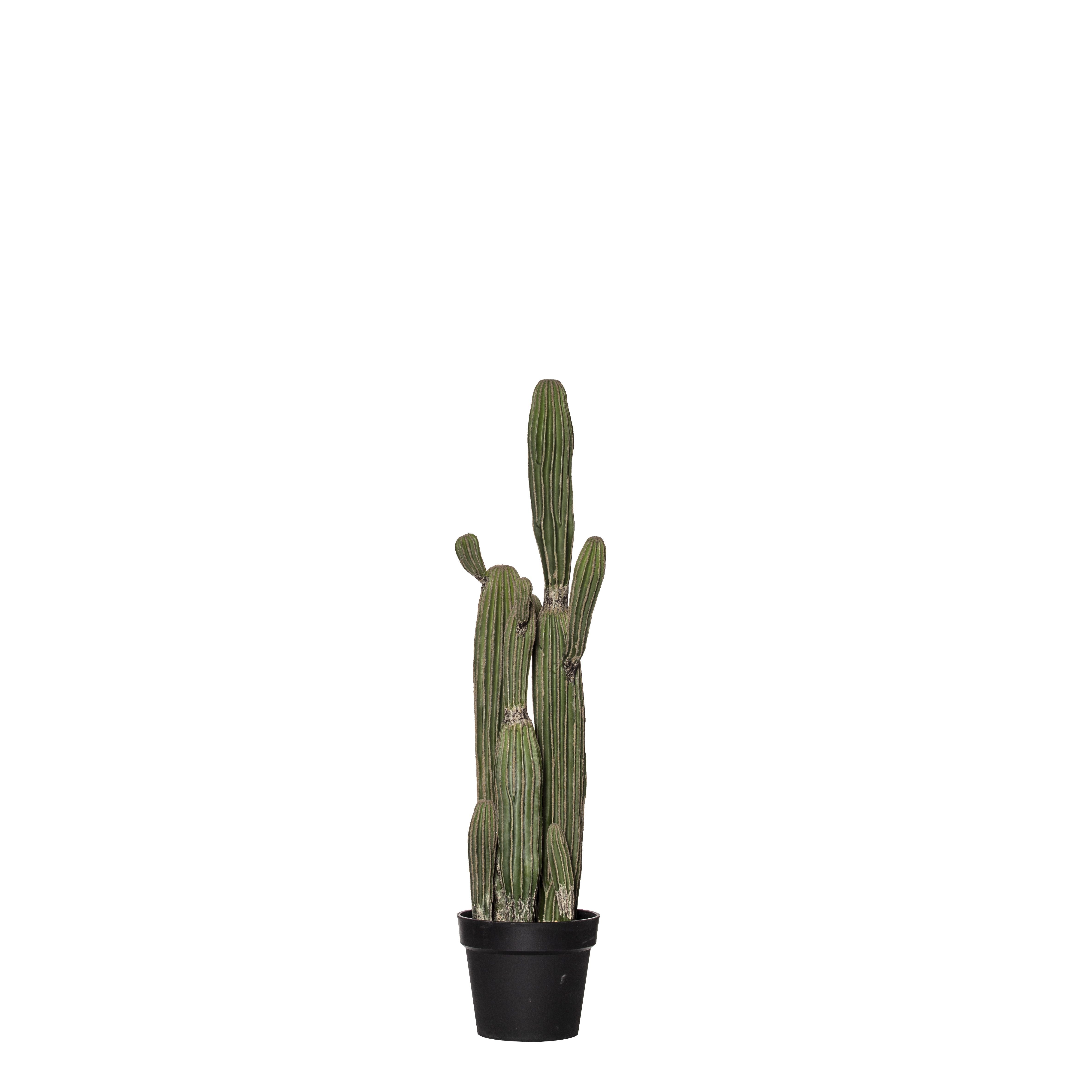 Saguaro Cactus Garden Pot 91cm-Decor Items-Rogue Home-The Bay Room