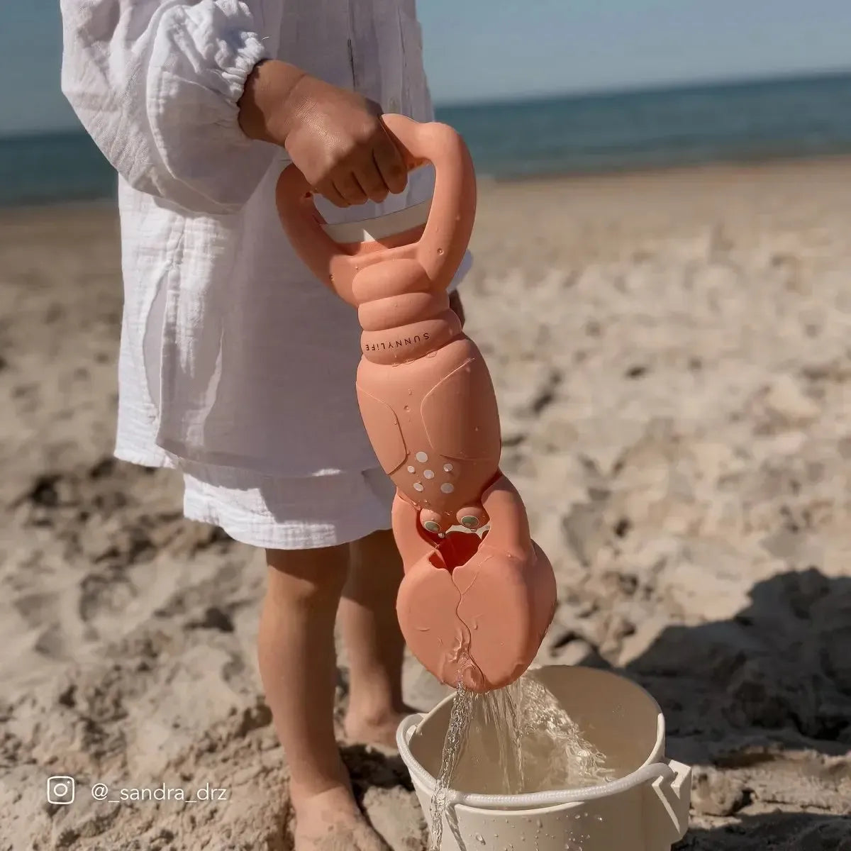 Sand Claws Lobster Coral-Travel & Outdoors-Sunny Life-The Bay Room