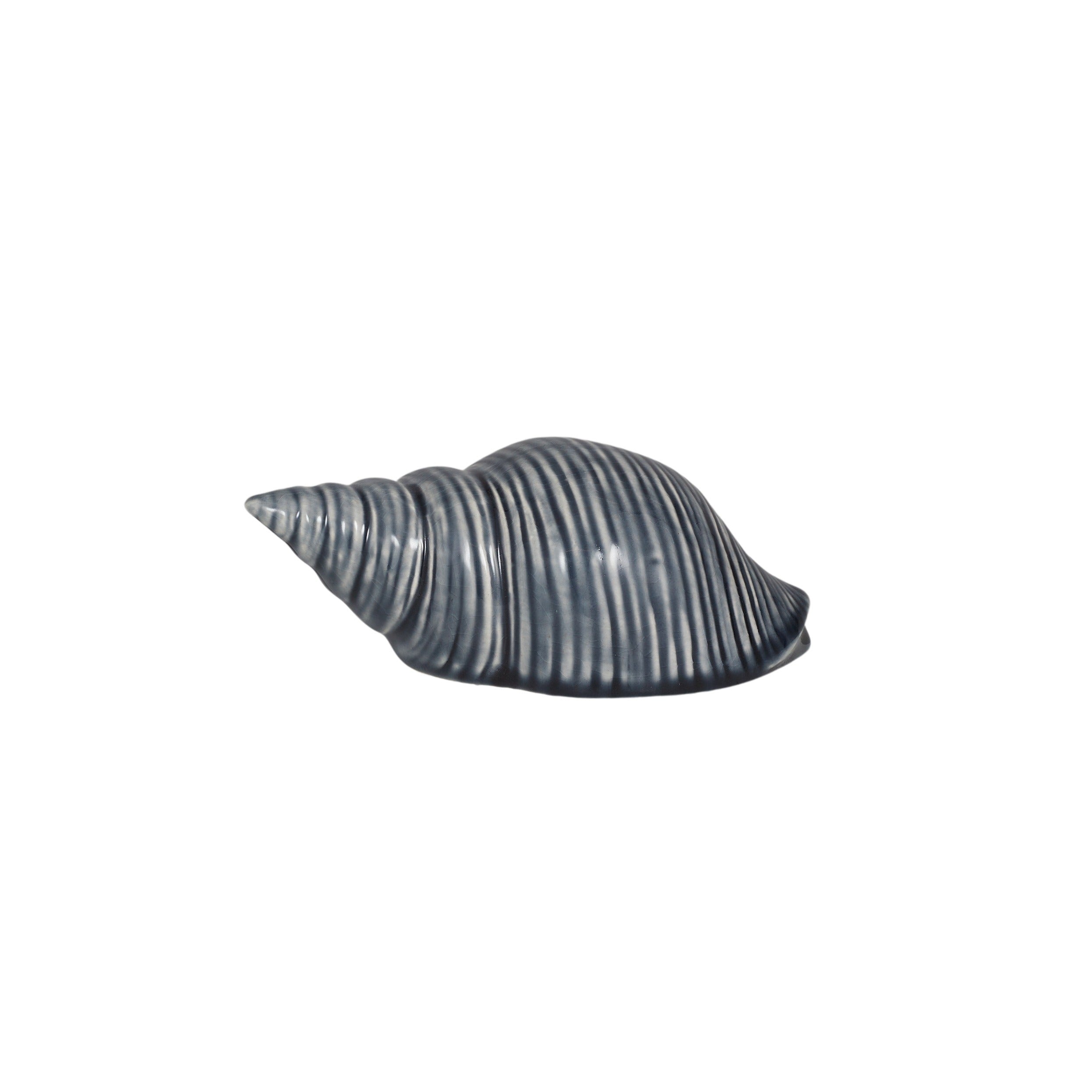 Sea Snail Ceramic Shell Sculpture 14x7x5cm Blue-Decor Items-Coast To Coast Home-The Bay Room