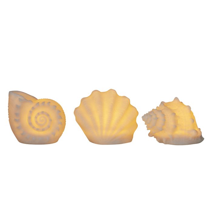 Shells Mini Outdoor Light 19x11cm-Lighting-Coast To Coast Home-The Bay Room