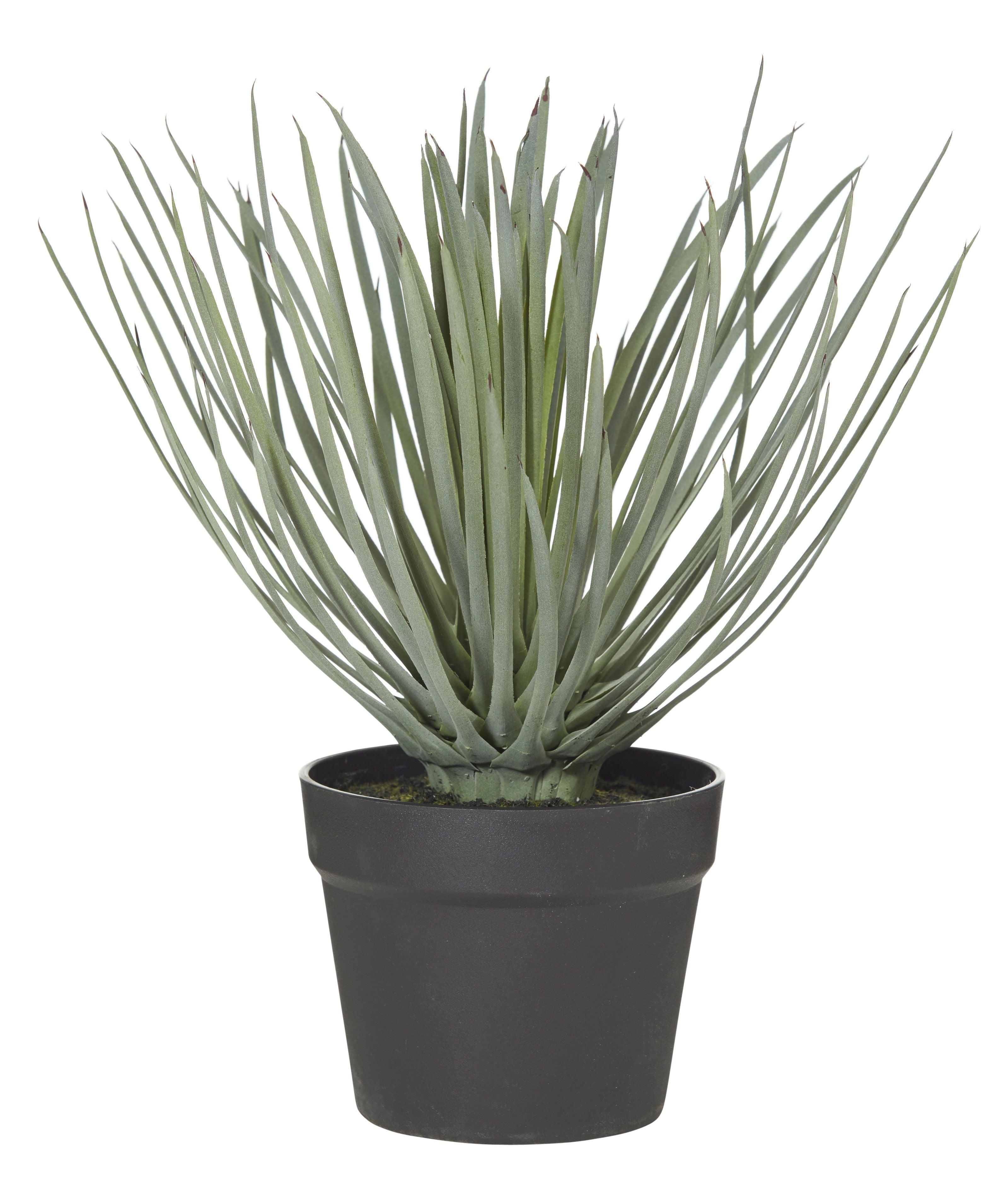 Spikey Grass Garden Pot-Decor Items-Rogue Home-The Bay Room