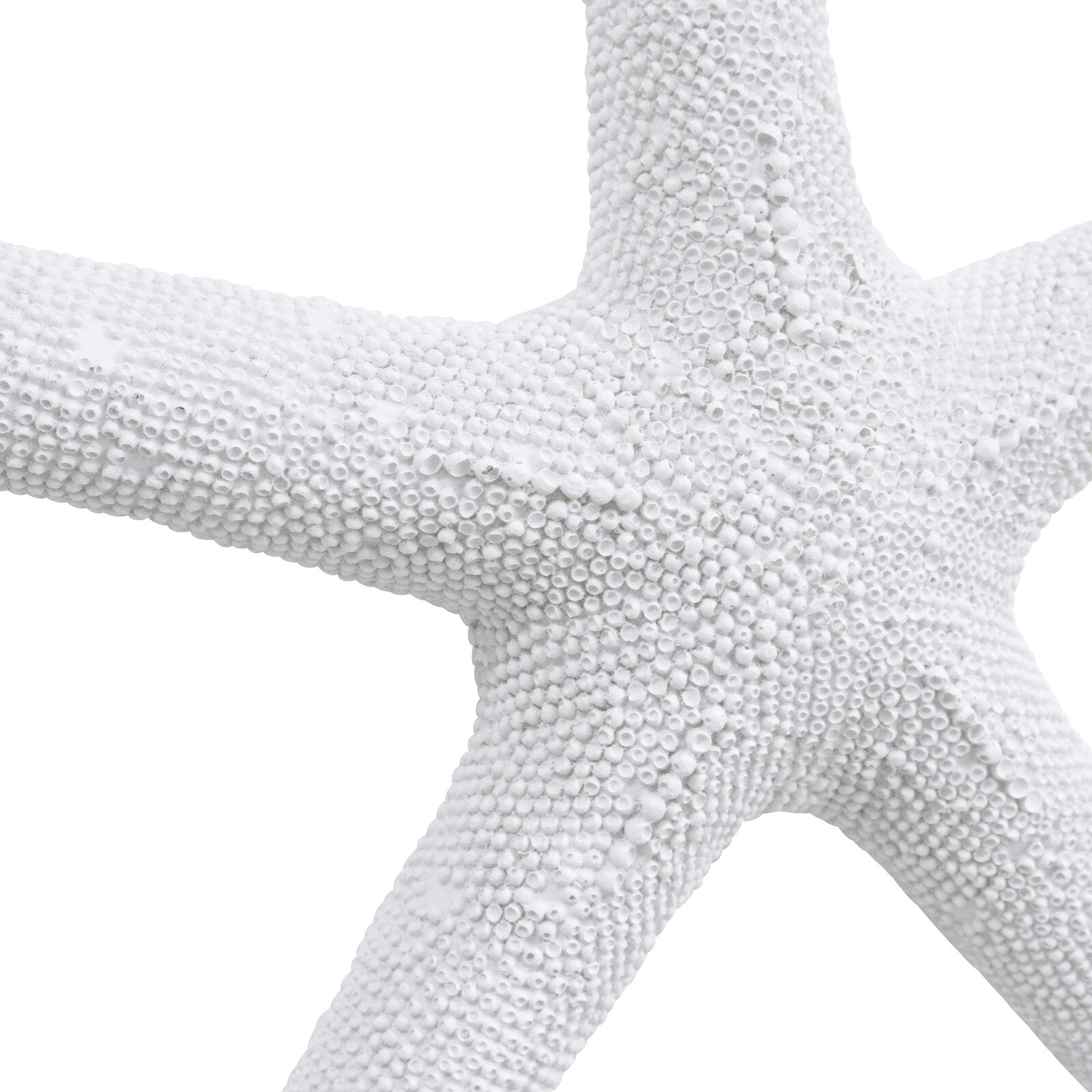 Starfish XL Textured-Decor Items-Lavida-The Bay Room